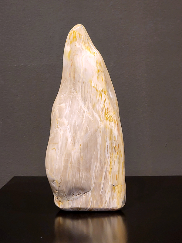 Versteend hout sculptuur, 1,4 kg, 24cm hoog, 11cm breed, 28,- euro, nr. 73
Versteend hout, 
Versteend hout is miljoenen jaren oud!
Chakra: wortelchakra (Muladhara)
Waar komt versteend hout vandaan en hoe ontstaan het?
Versteend hout, of gefossiliseerd hout, ontstaat wanneer een boom na zijn overlijden bedekt wordt door sediment, waardoor het langzaam omgezet wordt in steen. In plaats van te vergaan, wordt het hout geleidelijk vervangen door mineralen zoals silica. Dit proces behoudt de originele structuur van het hout, inclusief details zoals jaarringen en nerven. Het kan miljoenen jaren duren, aangezien het water dat rijk is aan mineralen de houtcellen binnendringt, terwijl zuurstof geen rol meer speelt in de afbraak.
De kleur van versteend hout is precies zoals het hout er oorspronkelijk uit zag.
Spirituele werking van versteend hout: 
> stabiliteit, rust en veiligheid
Fysiek zou het positieve effecten hebben op het skelet, de botten en de rug, en kan het ondersteuning bieden bij aandoeningen zoals osteoporose en ADHD.
                                                                                        -   Kunstgalerie Arnold   -