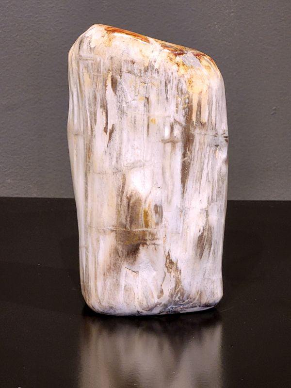 Versteend hout, 1,4 kg, 24cm hg. en 11cm br. 28,- euro, nr. 72
Versteend hout is miljoenen jaren oud!
Chakra: wortelchakra (Muladhara)
Waar komt versteend hout vandaan en hoe ontstaan het?
Versteend hout, of gefossiliseerd hout, ontstaat wanneer een boom na zijn overlijden bedekt wordt door sediment, waardoor het langzaam omgezet wordt in steen. In plaats van te vergaan, wordt het hout geleidelijk vervangen door mineralen zoals silica. Dit proces behoudt de originele structuur van het hout, inclusief details zoals jaarringen en nerven. Het kan miljoenen jaren duren, aangezien het water dat rijk is aan mineralen de houtcellen binnendringt, terwijl zuurstof geen rol meer speelt in de afbraak.
De kleur van versteend hout is precies zoals het hout er oorspronkelijk uit zag.
Spirituele werking van versteend hout: 
> stabiliteit, rust en veiligheid
Fysiek zou het positieve effecten hebben op het skelet, de botten en de rug, en kan het ondersteuning bieden bij aandoeningen zoals osteoporose en ADHD.
                                                                                        -   Kunstgalerie Arnold   -