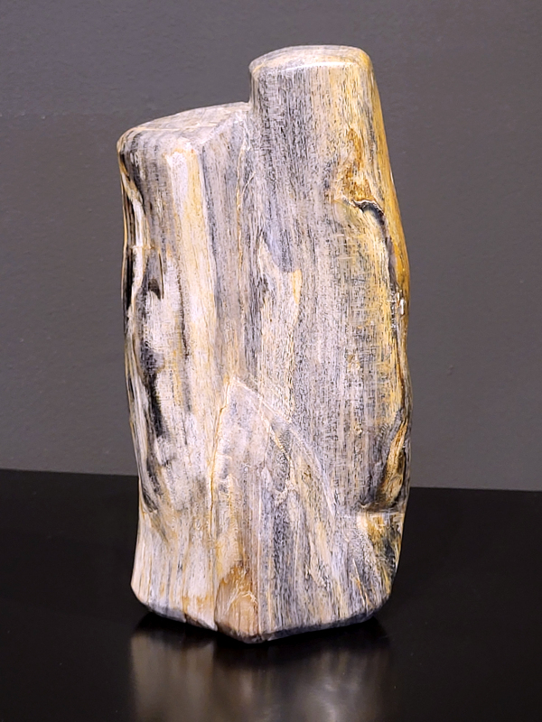 Versteend hout, 1,4 kg, 23cm hg. en 11cm br. 28,- euro, nr. 70

Versteend hout is miljoenen jaren oud!
Chakra: wortelchakra (Muladhara)
Waar komt versteend hout vandaan en hoe ontstaan het?
Versteend hout, of gefossiliseerd hout, ontstaat wanneer een boom na zijn overlijden bedekt wordt door sediment, waardoor het langzaam omgezet wordt in steen. In plaats van te vergaan, wordt het hout geleidelijk vervangen door mineralen zoals silica. Dit proces behoudt de originele structuur van het hout, inclusief details zoals jaarringen en nerven. Het kan miljoenen jaren duren, aangezien het water dat rijk is aan mineralen de houtcellen binnendringt, terwijl zuurstof geen rol meer speelt in de afbraak.
De kleur van versteend hout is precies zoals het hout er oorspronkelijk uit zag.
Spirituele werking van versteend hout: 
> stabiliteit, rust en veiligheid
Fysiek zou het positieve effecten hebben op het skelet, de botten en de rug, en kan het ondersteuning bieden bij aandoeningen zoals osteoporose en ADHD.
                                                                                        -   Kunstgalerie Arnold   -