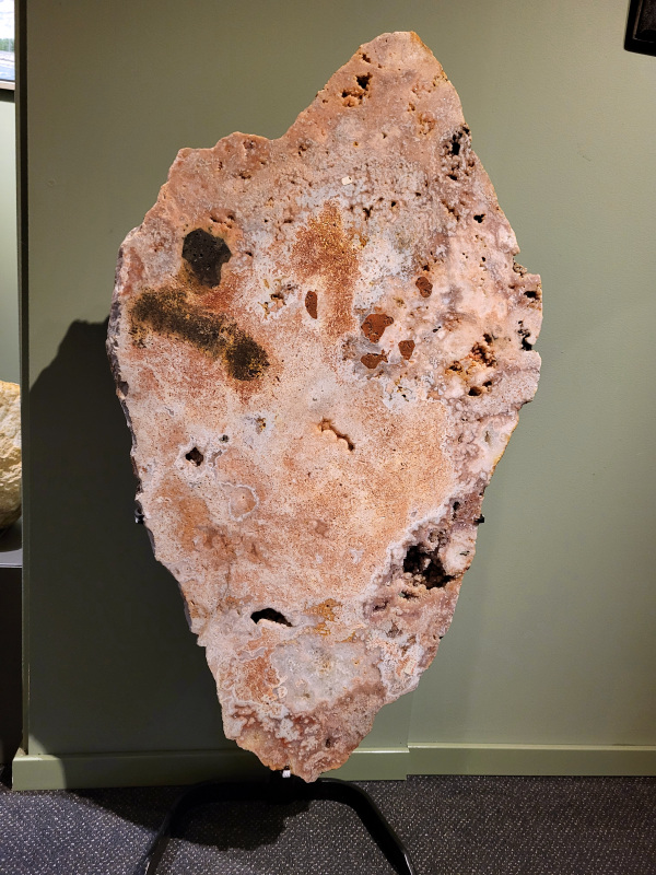 Roze Amethist, Chalcedoon, 30,8kg, 110cm hoog, 95cm doorsnee, 990,- euro, nr. 22

Chalcedoon, ook wel genoemd Roze Amethist

Chalcedoon is een edelsteen die behoort tot de kwartsfamilie en bekend staat om zijn zachte, wasachtige glans en diverse kleuren. Het is een microkristallijne vorm van kwarts, vaak in wit, grijs, blauw, geel, bruin of rood. Chalcedoon wordt gewaardeerd om zijn spirituele eigenschappen, zoals het bevorderen van communicatie, evenwicht en creativiteit. 
Kenmerken en soorten:
Chalcedoon is een cryptokristal gelijnde  kwarts, wat betekent dat de kristallen zo klein zijn dat ze met het blote oog niet te zien zijn. 
Het heeft een hardheid van 6,5-7 op de schaal van Mohs. 
Bekende variëteiten van chalcedoon zijn chrysopraas (appelgroen), carneool (roze tot rood) en sarder (bruin). 
Blauwe chalcedoon, met name Blue Lace Agate, staat bekend om zijn kalmerende werking en wordt geassocieerd met de keelchakra. 
Spirituele eigenschappen en werking:
Chalcedoon wordt gezien als de steen van communicatie en wordt vaak de "redenaarssteen" genoemd. 
Het bevordert helderheid van geest, zelfvertrouwen en moed om gevoelens te uiten. 
Chalcedoon kan helpen bij het loslaten van onderdrukte emoties en het vinden van innerlijke rust. 
Het wordt ook in verband gebracht met creativiteit en het vermogen om ideeën om te zetten in daden. 
Sommige geloven dat chalcedoon het keelchakra activeert en helpt bij problemen met de keel, stembanden en schildklier. 
Fysieke werking:
Chalcedoon wordt verondersteld reinigende, verkoelende en ontstekingsremmende eigenschappen te hebben.
Het kan helpen bij koorts, verkoudheid, ademhalingsproblemen en het versterken van het immuunsysteem. 
Chalcedoon wordt ook in verband gebracht met een positieve werking op de bloedsomloop, vochtophoping en de productie van insuline.
Overige:
Chalcedoon komt voor in verschillende delen van de wereld, waaronder Brazilië, Madagaskar, India en Uruguay. 
In de oudheid werd chalcedoon al gebruikt voor amuletten, zegels en sieraden.