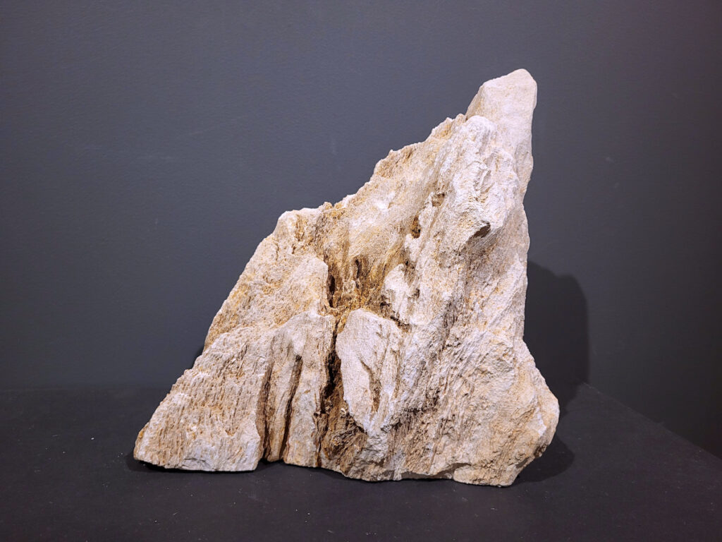 Versteend Hout, 10kg, 70,- euro, nr.22

Versteend hout is miljoenen jaren oud!
Chakra: wortelchakra (Muladhara)
Waar komt versteend hout vandaan en hoe ontstaan het?
Versteend hout, of gefossiliseerd hout, ontstaat wanneer een boom na zijn overlijden bedekt wordt door sediment, waardoor het langzaam omgezet wordt in steen. In plaats van te vergaan, wordt het hout geleidelijk vervangen door mineralen zoals silica. Dit proces behoudt de originele structuur van het hout, inclusief details zoals jaarringen en nerven. Het kan miljoenen jaren duren, aangezien het water dat rijk is aan mineralen de houtcellen binnendringt, terwijl zuurstof geen rol meer speelt in de afbraak.
De kleur van versteend hout is precies zoals het hout er oorspronkelijk uit zag.
Spirituele werking van versteend hout:
> stabiliteit, rust en veiligheid
Fysiek zou het positieve effecten hebben op het skelet, de botten en de rug, en kan het ondersteuning bieden bij aandoeningen zoals osteoporose en ADHD.
- Kunstgalerie Arnold -