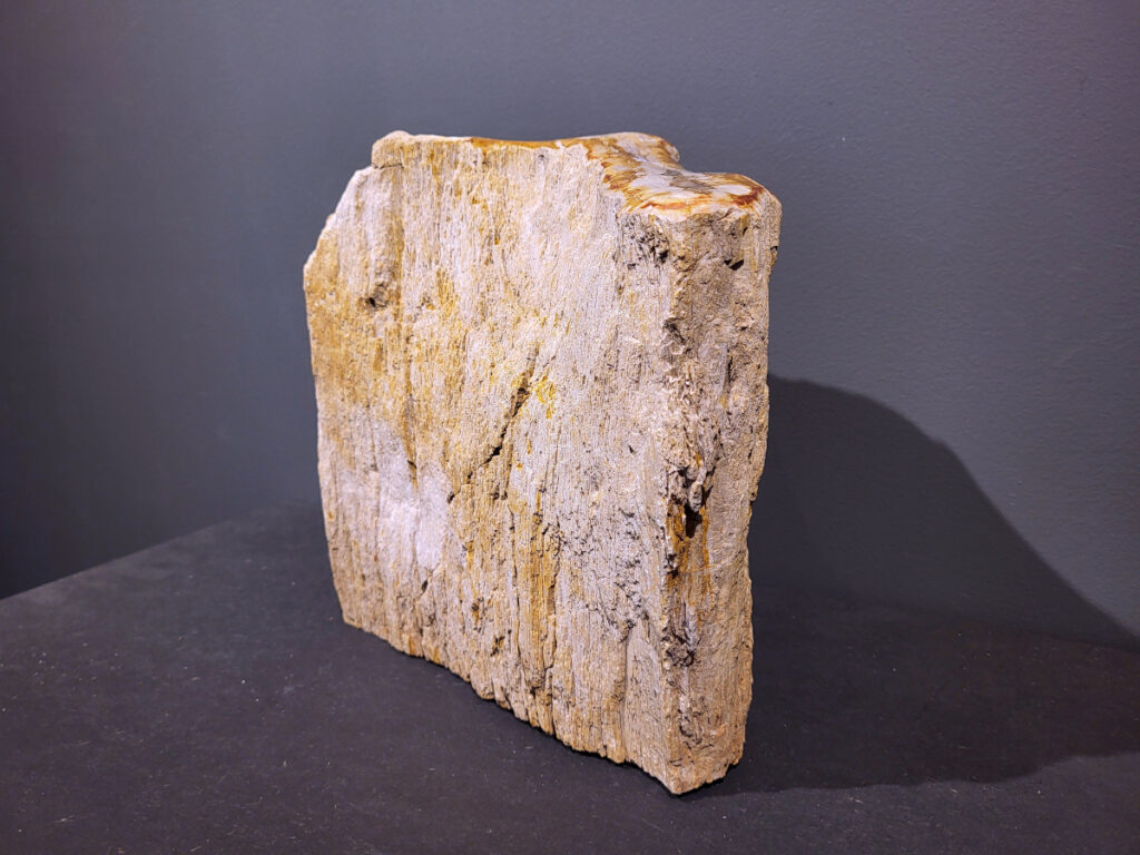 Versteend Hout, 11,4kg, 80,- euro, nr. 21

Versteend hout is miljoenen jaren oud!
Chakra: wortelchakra (Muladhara)
Waar komt versteend hout vandaan en hoe ontstaan het?
Versteend hout, of gefossiliseerd hout, ontstaat wanneer een boom na zijn overlijden bedekt wordt door sediment, waardoor het langzaam omgezet wordt in steen. In plaats van te vergaan, wordt het hout geleidelijk vervangen door mineralen zoals silica. Dit proces behoudt de originele structuur van het hout, inclusief details zoals jaarringen en nerven. Het kan miljoenen jaren duren, aangezien het water dat rijk is aan mineralen de houtcellen binnendringt, terwijl zuurstof geen rol meer speelt in de afbraak.
De kleur van versteend hout is precies zoals het hout er oorspronkelijk uit zag.
Spirituele werking van versteend hout:
> stabiliteit, rust en veiligheid
Fysiek zou het positieve effecten hebben op het skelet, de botten en de rug, en kan het ondersteuning bieden bij aandoeningen zoals osteoporose en ADHD.
- Kunstgalerie Arnold -