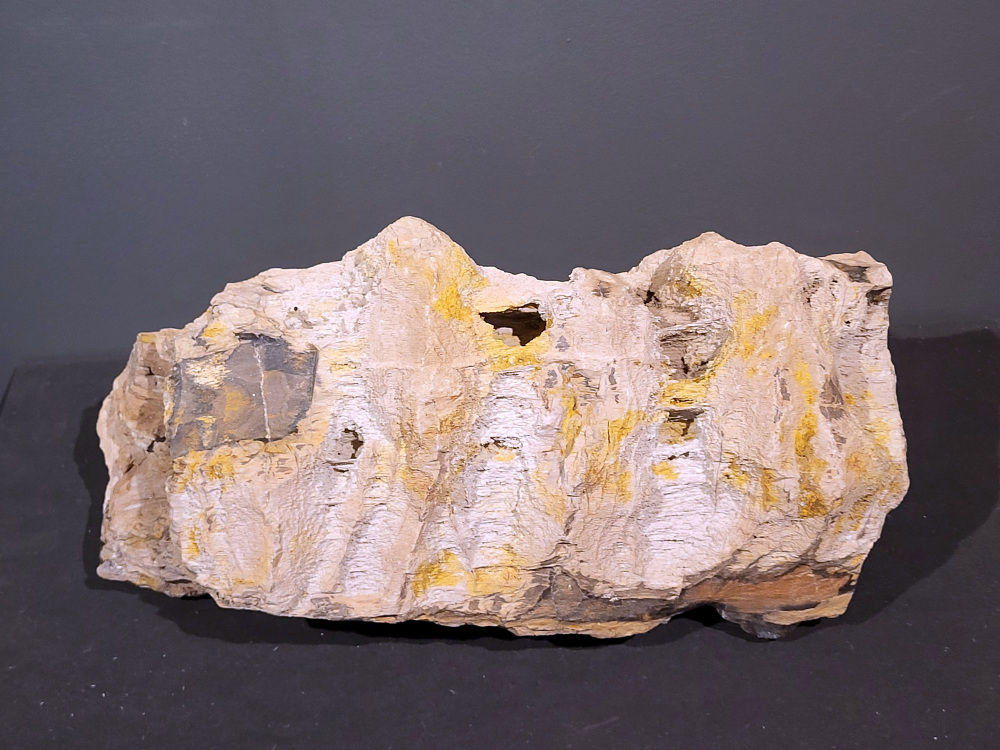 Versteend Hout, 15kg, 105,- euro, nr. 17

Versteend hout is miljoenen jaren oud!
Chakra: wortelchakra (Muladhara)
Waar komt versteend hout vandaan en hoe ontstaan het?
Versteend hout, of gefossiliseerd hout, ontstaat wanneer een boom na zijn overlijden bedekt wordt door sediment, waardoor het langzaam omgezet wordt in steen. In plaats van te vergaan, wordt het hout geleidelijk vervangen door mineralen zoals silica. Dit proces behoudt de originele structuur van het hout, inclusief details zoals jaarringen en nerven. Het kan miljoenen jaren duren, aangezien het water dat rijk is aan mineralen de houtcellen binnendringt, terwijl zuurstof geen rol meer speelt in de afbraak.
De kleur van versteend hout is precies zoals het hout er oorspronkelijk uit zag.
Spirituele werking van versteend hout:
> stabiliteit, rust en veiligheid
Fysiek zou het positieve effecten hebben op het skelet, de botten en de rug, en kan het ondersteuning bieden bij aandoeningen zoals osteoporose en ADHD.
- Kunstgalerie Arnold -