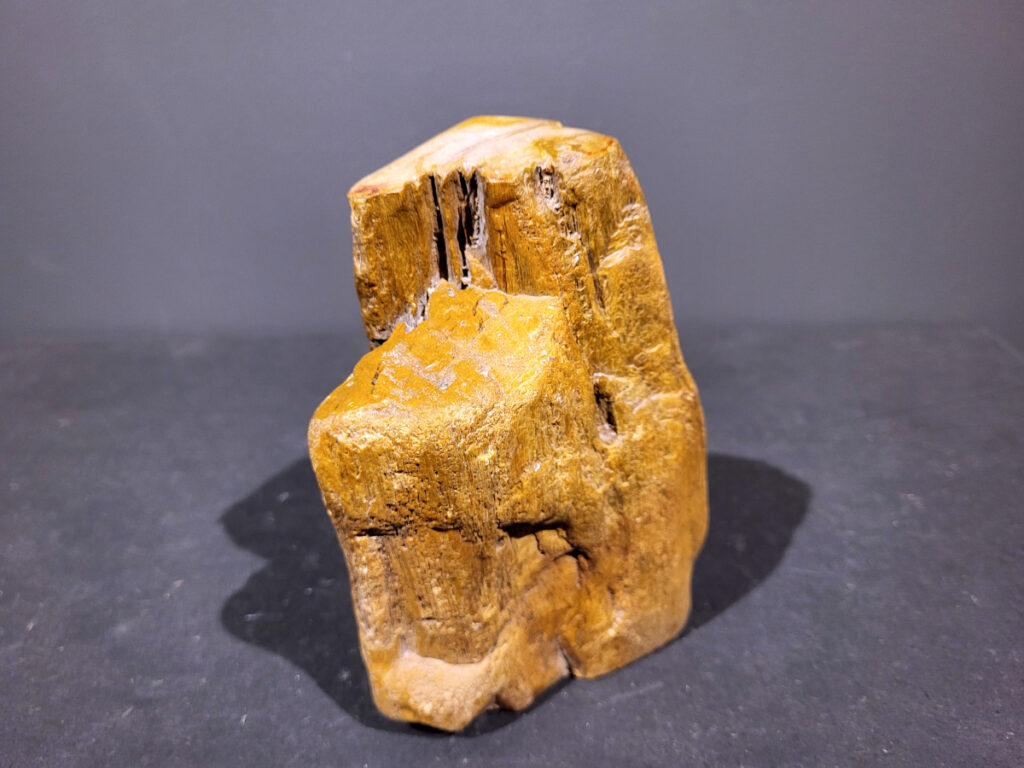 Versteend Hout, 1,5kg, 11,- euro, nr. 49

Versteend hout is miljoenen jaren oud!
Chakra: wortelchakra (Muladhara)
Waar komt versteend hout vandaan en hoe ontstaan het?
Versteend hout, of gefossiliseerd hout, ontstaat wanneer een boom na zijn overlijden bedekt wordt door sediment, waardoor het langzaam omgezet wordt in steen. In plaats van te vergaan, wordt het hout geleidelijk vervangen door mineralen zoals silica. Dit proces behoudt de originele structuur van het hout, inclusief details zoals jaarringen en nerven. Het kan miljoenen jaren duren, aangezien het water dat rijk is aan mineralen de houtcellen binnendringt, terwijl zuurstof geen rol meer speelt in de afbraak.
De kleur van versteend hout is precies zoals het hout er oorspronkelijk uit zag.
Spirituele werking van versteend hout:
 stabiliteit, rust en veiligheid
Fysiek zou het positieve effecten hebben op het skelet, de botten en de rug, en kan het ondersteuning bieden bij aandoeningen zoals osteoporose en ADHD.
- Kunstgalerie Arnold -