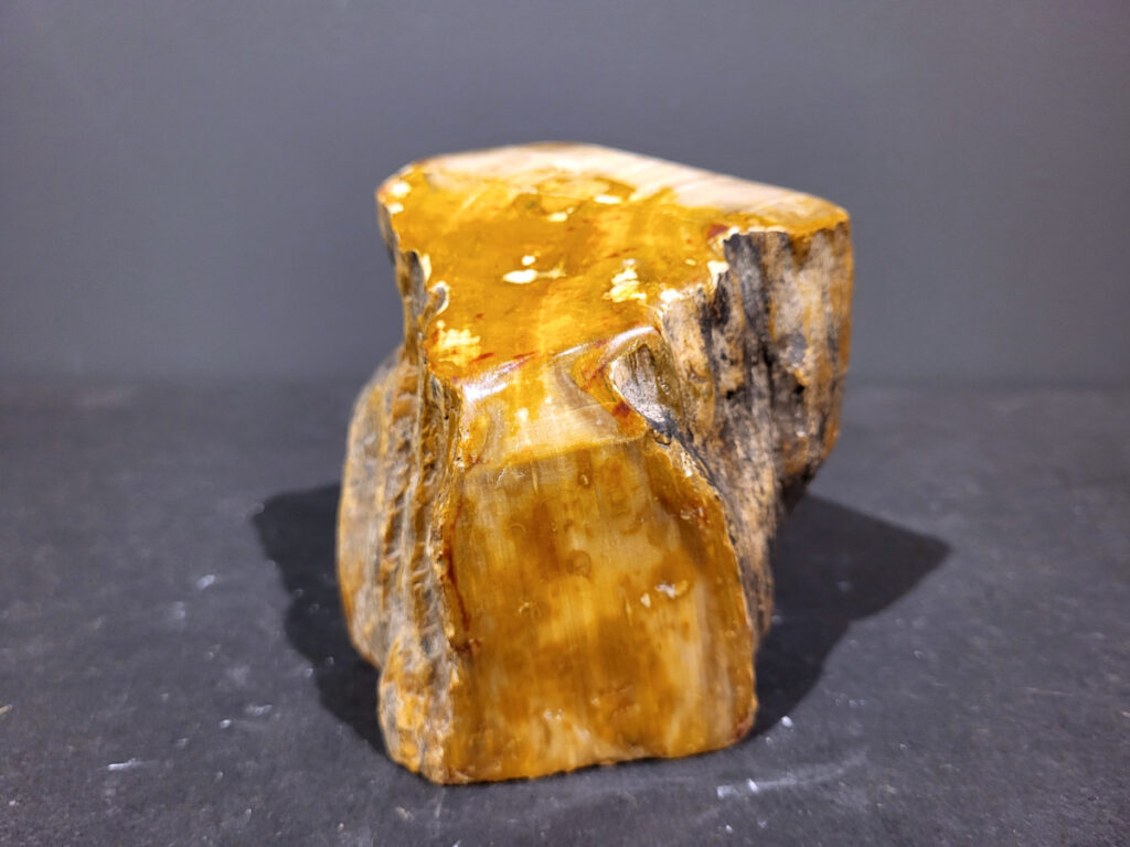 Versteend Hout, 1,6kg, 11,- euro, nr. 51

Versteend hout is miljoenen jaren oud!
Chakra: wortelchakra (Muladhara)
Waar komt versteend hout vandaan en hoe ontstaan het?
Versteend hout, of gefossiliseerd hout, ontstaat wanneer een boom na zijn overlijden bedekt wordt door sediment, waardoor het langzaam omgezet wordt in steen. In plaats van te vergaan, wordt het hout geleidelijk vervangen door mineralen zoals silica. Dit proces behoudt de originele structuur van het hout, inclusief details zoals jaarringen en nerven. Het kan miljoenen jaren duren, aangezien het water dat rijk is aan mineralen de houtcellen binnendringt, terwijl zuurstof geen rol meer speelt in de afbraak.
De kleur van versteend hout is precies zoals het hout er oorspronkelijk uit zag.
Spirituele werking van versteend hout:
 stabiliteit, rust en veiligheid
Fysiek zou het positieve effecten hebben op het skelet, de botten en de rug, en kan het ondersteuning bieden bij aandoeningen zoals osteoporose en ADHD.
- Kunstgalerie Arnold -