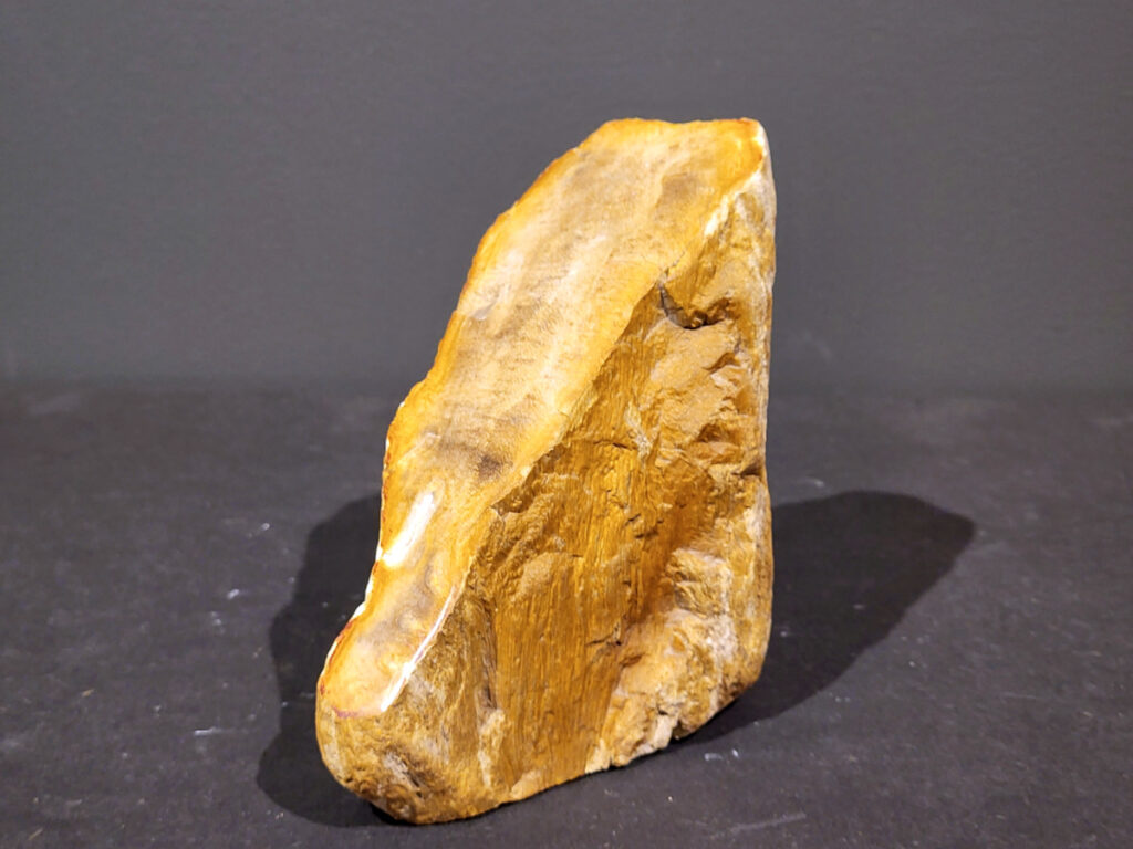 Versteend Hout, 1,6kg, 11,- euro, nr. 50

Versteend hout is miljoenen jaren oud!
Chakra: wortelchakra (Muladhara)
Waar komt versteend hout vandaan en hoe ontstaan het?
Versteend hout, of gefossiliseerd hout, ontstaat wanneer een boom na zijn overlijden bedekt wordt door sediment, waardoor het langzaam omgezet wordt in steen. In plaats van te vergaan, wordt het hout geleidelijk vervangen door mineralen zoals silica. Dit proces behoudt de originele structuur van het hout, inclusief details zoals jaarringen en nerven. Het kan miljoenen jaren duren, aangezien het water dat rijk is aan mineralen de houtcellen binnendringt, terwijl zuurstof geen rol meer speelt in de afbraak.
De kleur van versteend hout is precies zoals het hout er oorspronkelijk uit zag.
Spirituele werking van versteend hout:
 stabiliteit, rust en veiligheid
Fysiek zou het positieve effecten hebben op het skelet, de botten en de rug, en kan het ondersteuning bieden bij aandoeningen zoals osteoporose en ADHD.
- Kunstgalerie Arnold -