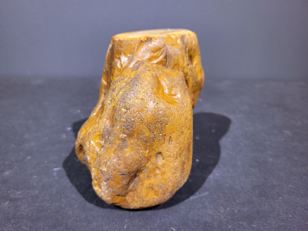 Versteend Hout, 1,8kg, 13,- euro, nr. 54

Versteend hout is miljoenen jaren oud!
Chakra: wortelchakra (Muladhara)
Waar komt versteend hout vandaan en hoe ontstaan het?
Versteend hout, of gefossiliseerd hout, ontstaat wanneer een boom na zijn overlijden bedekt wordt door sediment, waardoor het langzaam omgezet wordt in steen. In plaats van te vergaan, wordt het hout geleidelijk vervangen door mineralen zoals silica. Dit proces behoudt de originele structuur van het hout, inclusief details zoals jaarringen en nerven. Het kan miljoenen jaren duren, aangezien het water dat rijk is aan mineralen de houtcellen binnendringt, terwijl zuurstof geen rol meer speelt in de afbraak.
De kleur van versteend hout is precies zoals het hout er oorspronkelijk uit zag.
Spirituele werking van versteend hout:
 stabiliteit, rust en veiligheid
Fysiek zou het positieve effecten hebben op het skelet, de botten en de rug, en kan het ondersteuning bieden bij aandoeningen zoals osteoporose en ADHD.
- Kunstgalerie Arnold -