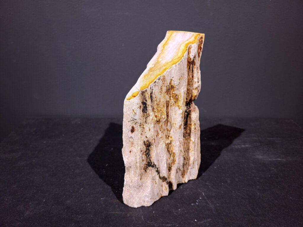 Versteend-Hout, 1,9kg, 13,- euro, nr. 55

Versteend hout is miljoenen jaren oud!
Chakra: wortelchakra (Muladhara)
Waar komt versteend hout vandaan en hoe ontstaan het?
Versteend hout, of gefossiliseerd hout, ontstaat wanneer een boom na zijn overlijden bedekt wordt door sediment, waardoor het langzaam omgezet wordt in steen. In plaats van te vergaan, wordt het hout geleidelijk vervangen door mineralen zoals silica. Dit proces behoudt de originele structuur van het hout, inclusief details zoals jaarringen en nerven. Het kan miljoenen jaren duren, aangezien het water dat rijk is aan mineralen de houtcellen binnendringt, terwijl zuurstof geen rol meer speelt in de afbraak.
De kleur van versteend hout is precies zoals het hout er oorspronkelijk uit zag.
Spirituele werking van versteend hout:
 stabiliteit, rust en veiligheid
Fysiek zou het positieve effecten hebben op het skelet, de botten en de rug, en kan het ondersteuning bieden bij aandoeningen zoals osteoporose en ADHD.
- Kunstgalerie Arnold -