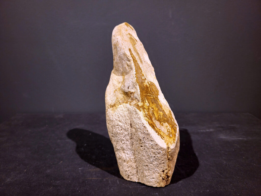 Versteend Hout, 1,5kg, 10,- euro, nr. 46 

Versteend hout is miljoenen jaren oud!
Chakra: wortelchakra (Muladhara)
Waar komt versteend hout vandaan en hoe ontstaan het?
Versteend hout, of gefossiliseerd hout, ontstaat wanneer een boom na zijn overlijden bedekt wordt door sediment, waardoor het langzaam omgezet wordt in steen. In plaats van te vergaan, wordt het hout geleidelijk vervangen door mineralen zoals silica. Dit proces behoudt de originele structuur van het hout, inclusief details zoals jaarringen en nerven. Het kan miljoenen jaren duren, aangezien het water dat rijk is aan mineralen de houtcellen binnendringt, terwijl zuurstof geen rol meer speelt in de afbraak.
De kleur van versteend hout is precies zoals het hout er oorspronkelijk uit zag.
Spirituele werking van versteend hout:
 stabiliteit, rust en veiligheid
Fysiek zou het positieve effecten hebben op het skelet, de botten en de rug, en kan het ondersteuning bieden bij aandoeningen zoals osteoporose en ADHD.
- Kunstgalerie Arnold -