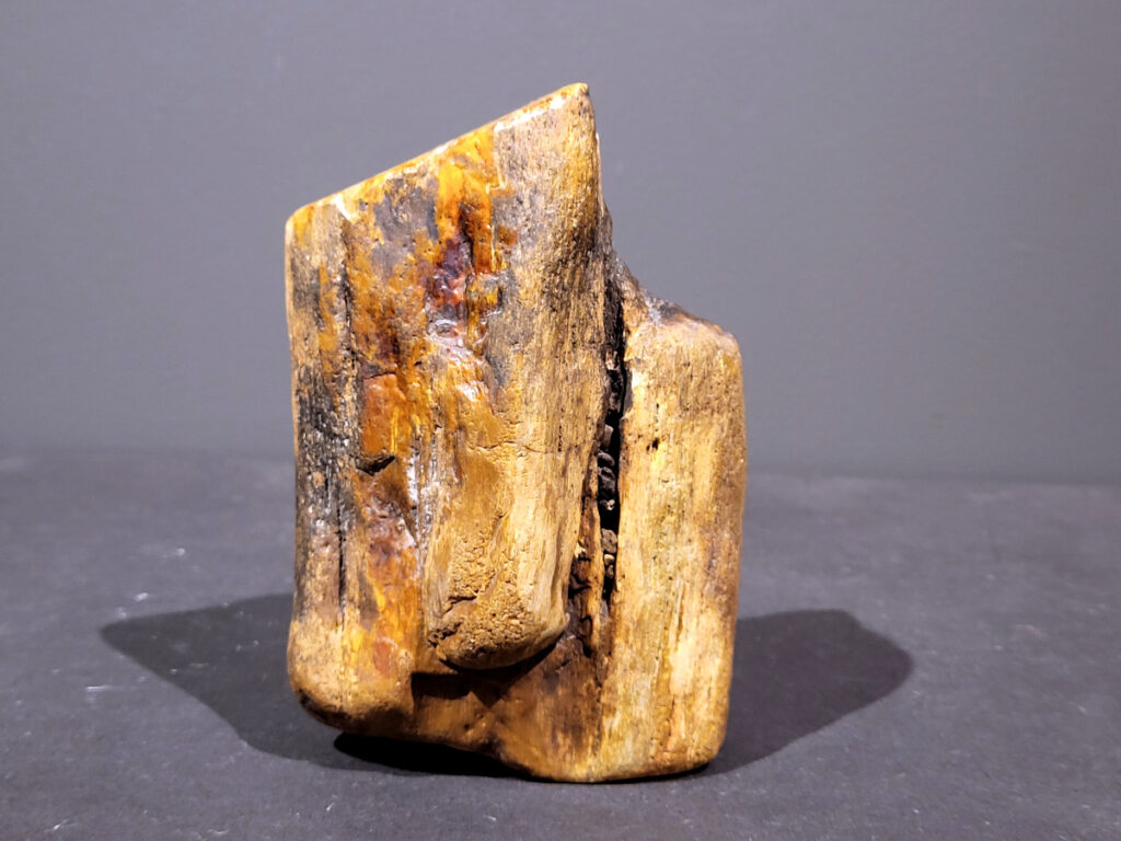 Versteend Hout, 1,4kg, 10,- euro, nr. 42

Versteend hout is miljoenen jaren oud!
Chakra: wortelchakra (Muladhara)
Waar komt versteend hout vandaan en hoe ontstaan het?
Versteend hout, of gefossiliseerd hout, ontstaat wanneer een boom na zijn overlijden bedekt wordt door sediment, waardoor het langzaam omgezet wordt in steen. In plaats van te vergaan, wordt het hout geleidelijk vervangen door mineralen zoals silica. Dit proces behoudt de originele structuur van het hout, inclusief details zoals jaarringen en nerven. Het kan miljoenen jaren duren, aangezien het water dat rijk is aan mineralen de houtcellen binnendringt, terwijl zuurstof geen rol meer speelt in de afbraak.
De kleur van versteend hout is precies zoals het hout er oorspronkelijk uit zag.
Spirituele werking van versteend hout:
 stabiliteit, rust en veiligheid
Fysiek zou het positieve effecten hebben op het skelet, de botten en de rug, en kan het ondersteuning bieden bij aandoeningen zoals osteoporose en ADHD.
- Kunstgalerie Arnold -