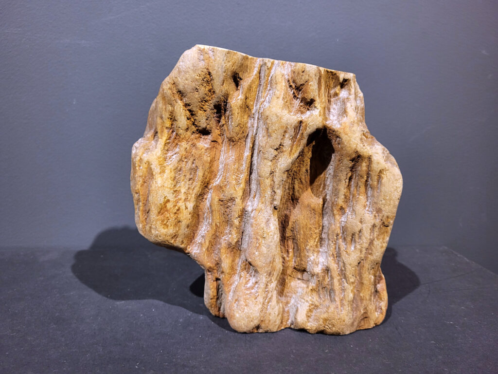 Versteend Hout, 3,8kg, 27,- euro, nr.32

Versteend hout is miljoenen jaren oud!
Chakra: wortelchakra (Muladhara)
Waar komt versteend hout vandaan en hoe ontstaan het?
Versteend hout, of gefossiliseerd hout, ontstaat wanneer een boom na zijn overlijden bedekt wordt door sediment, waardoor het langzaam omgezet wordt in steen. In plaats van te vergaan, wordt het hout geleidelijk vervangen door mineralen zoals silica. Dit proces behoudt de originele structuur van het hout, inclusief details zoals jaarringen en nerven. Het kan miljoenen jaren duren, aangezien het water dat rijk is aan mineralen de houtcellen binnendringt, terwijl zuurstof geen rol meer speelt in de afbraak.
De kleur van versteend hout is precies zoals het hout er oorspronkelijk uit zag.
Spirituele werking van versteend hout:
> stabiliteit, rust en veiligheid
Fysiek zou het positieve effecten hebben op het skelet, de botten en de rug, en kan het ondersteuning bieden bij aandoeningen zoals osteoporose en ADHD.
- Kunstgalerie Arnold -