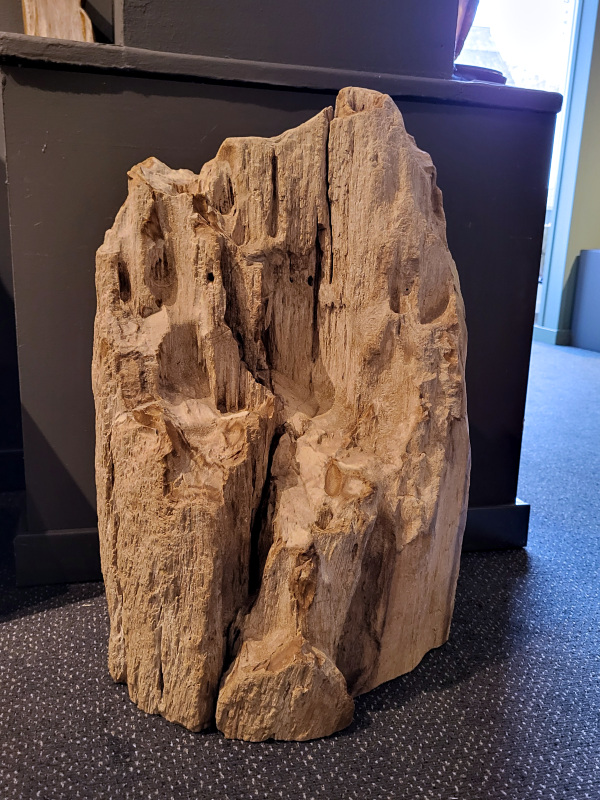 Versteend hout, 50+kg, 275,- euro, nr. 9

Versteend hout is miljoenen jaren oud!
Chakra: wortelchakra (Muladhara)
Waar komt versteend hout vandaan en hoe ontstaan het?
Versteend hout, of gefossiliseerd hout, ontstaat wanneer een boom na zijn overlijden bedekt wordt door sediment, waardoor het langzaam omgezet wordt in steen. In plaats van te vergaan, wordt het hout geleidelijk vervangen door mineralen zoals silica. Dit proces behoudt de originele structuur van het hout, inclusief details zoals jaarringen en nerven. Het kan miljoenen jaren duren, aangezien het water dat rijk is aan mineralen de houtcellen binnendringt, terwijl zuurstof geen rol meer speelt in de afbraak.
De kleur van versteend hout is precies zoals het hout er oorspronkelijk uit zag.
Spirituele werking van versteend hout:
> stabiliteit, rust en veiligheid
Fysiek zou het positieve effecten hebben op het skelet, de botten en de rug, en kan het ondersteuning bieden bij aandoeningen zoals osteoporose en ADHD.
- Kunstgalerie Arnold -
