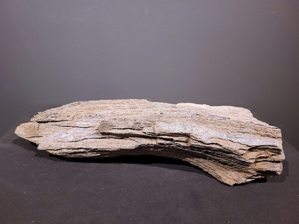 Versteend Hout, 6,6kg, 45,- euro, nr. 28

Versteend hout is miljoenen jaren oud!
Chakra: wortelchakra (Muladhara)
Waar komt versteend hout vandaan en hoe ontstaan het?
Versteend hout, of gefossiliseerd hout, ontstaat wanneer een boom na zijn overlijden bedekt wordt door sediment, waardoor het langzaam omgezet wordt in steen. In plaats van te vergaan, wordt het hout geleidelijk vervangen door mineralen zoals silica. Dit proces behoudt de originele structuur van het hout, inclusief details zoals jaarringen en nerven. Het kan miljoenen jaren duren, aangezien het water dat rijk is aan mineralen de houtcellen binnendringt, terwijl zuurstof geen rol meer speelt in de afbraak.
De kleur van versteend hout is precies zoals het hout er oorspronkelijk uit zag.
Spirituele werking van versteend hout:
> stabiliteit, rust en veiligheid
Fysiek zou het positieve effecten hebben op het skelet, de botten en de rug, en kan het ondersteuning bieden bij aandoeningen zoals osteoporose en ADHD.
- Kunstgalerie Arnold -