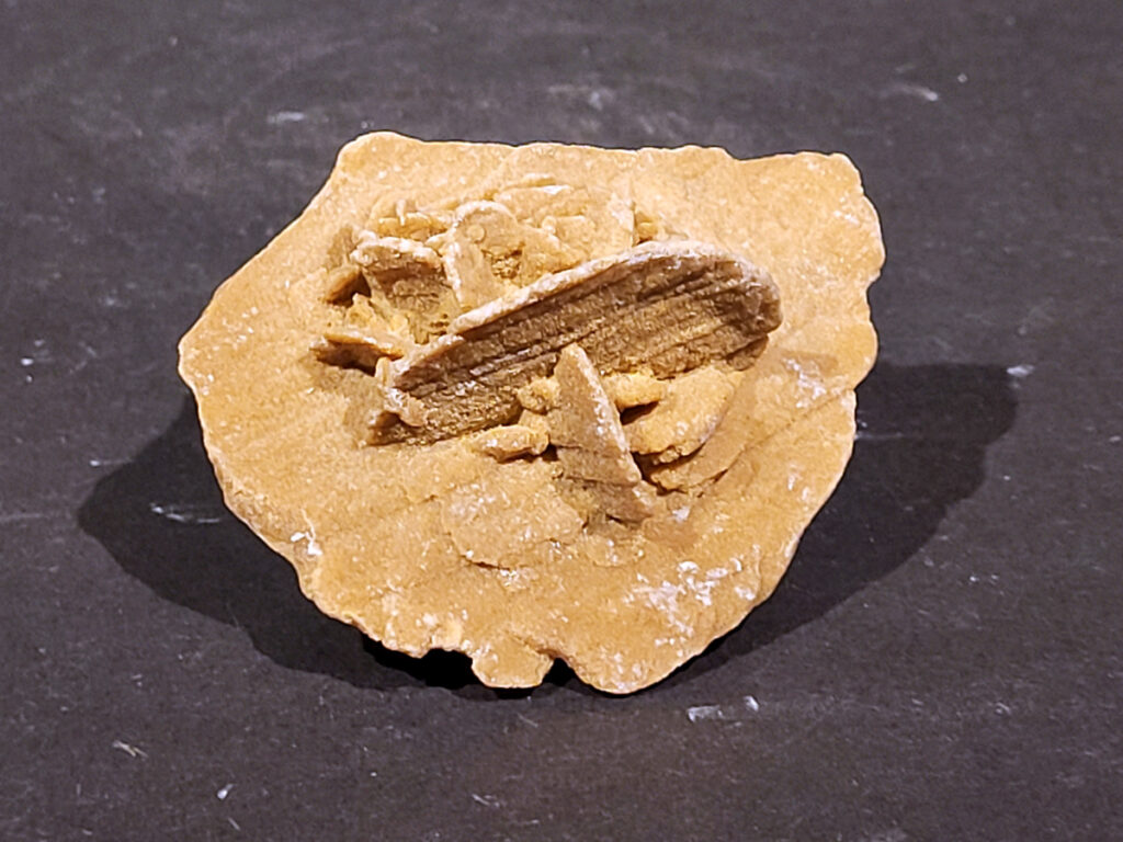 Woestijnroos, 140 gram, 1,50 euro, nr. 6

Een woestijnroos is een steen die ontstaat in woestijnen door de kristallisatie van gips of bariet, die achterblijven wanneer ondergronds water aan de oppervlakte komt en snel verdampt. Het verdampende water laat mineralen en zand achter, die door het snelle verdampingsproces in een rozetvormige structuur kristalliseren, waarbij zandkorrels in het kristalrooster worden opgenomen. 
Locatie: 
In droge, zanderige gebieden waar grondwater onder de grond zit. 
Proces: 
Door de hitte van de zon komt het grondwater aan het oppervlak, waar het vervolgens snel verdampt. 
Mineralen: 
Het water dat verdampt, bevat mineralen zoals gips of bariet, die als zoutkristallen achterblijven. 
Vorming: 
Deze mineralen mengen zich met de zandkorrels die aanwezig zijn in de grond en vormen een roosachtige structuur. Dit proces duurt jaren en resulteert in de karakteristieke, bloemachtige vorm van de woestijnroos. 

De woestijnroos wordt gezien als een steen die helpt bij innerlijke rust, bescherming en balans. De werking is gericht op het loslaten van negatieve energie, oude patronen en angsten, en het bevorderen van spirituele groei en helderheid. Fysiek wordt aangenomen dat het ondersteuning biedt bij stress, de huid kalmeert en de energiebalans in het lichaam verbetert.