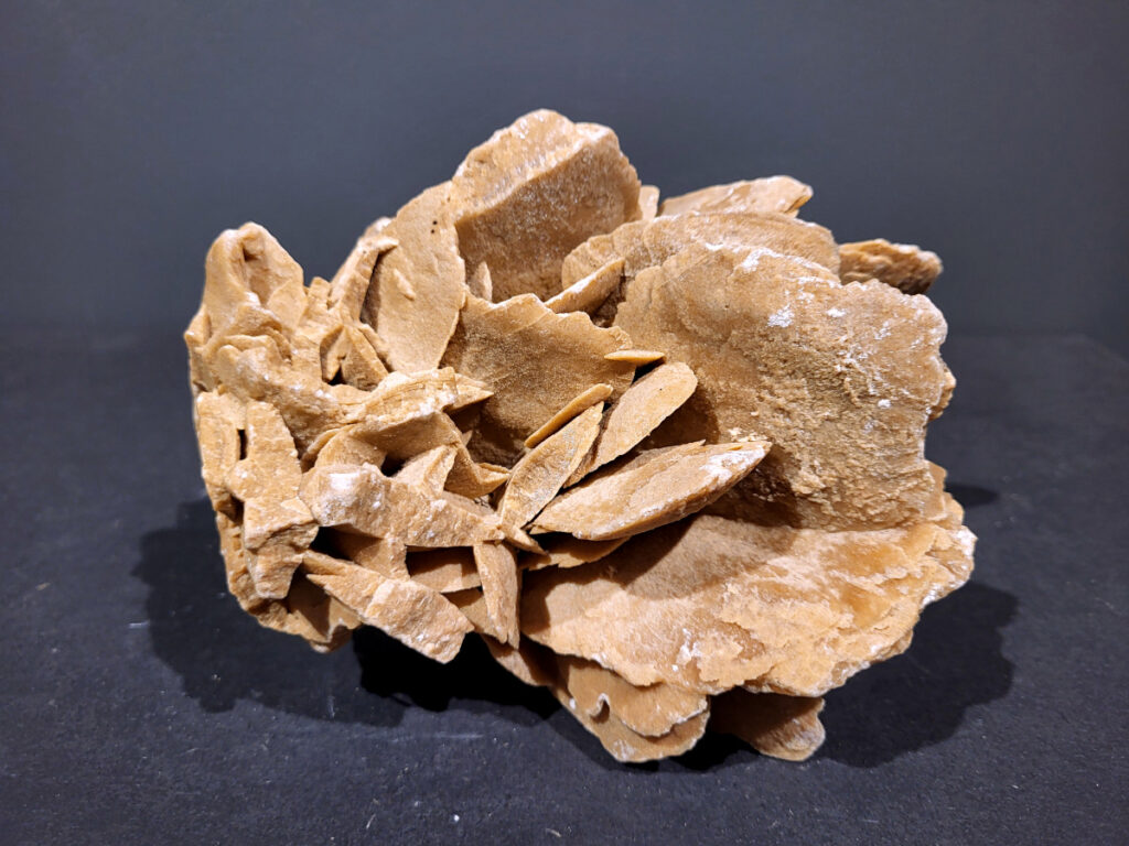 Woestijnroos, 1,4kg, 14,- euro, nr. 7

Woestijnroos, ook bekend als Seleniet roos, is een mineraal dat in de alternatieve geneeskunde wordt geassocieerd met verschillende positieve eigenschappen. Het wordt gezien als een steen die bescherming, inzicht en innerlijke rust bevordert. Woestijnroos zou helpen bij het verminderen van stress en angst, het bevorderen van emotionele balans en mentale helderheid, en het loslaten van negatieve energie. 
Fysieke werking:
Pijnverlichting:
Woestijnroos wordt gezegd pijnstillend te werken, onder andere bij voorweeën en rugklachten. 
Hormonale balans:
Het zou helpen bij hormonale schommelingen en geprikkeldheid. 
Overige:
Remt vrije radicalen, ondersteunt bij epilepsie, oedeemvorming en borstvoeding. 
Reiniging:
Het zou de lucht zuiveren en is daarom geschikt voor mensen met luchtwegproblemen. 
Emotionele en spirituele werking:
Aarding en balans:
Het is een aardende steen die helpt om de energie in balans te brengen en te centreren. Loslaten:
Woestijnroos kan helpen bij het loslaten van negatieve gedragspatronen en beperkende overtuigingen. 
Bescherming:
Het wordt gezien als een beschermende steen die het energieveld reinigt en beschermt. 
Inzicht en verbinding:
Woestijnroos zou het bewustzijn verruimen, inzicht geven en de verbinding met hogere dimensies en spirituele gidsen vergemakkelijken. 
Meditatie:
Het is een goede steen om te gebruiken tijdens meditatie en andere spirituele oefeningen. 
Belangrijk om te weten:
Woestijnroos is een zachte steen en kan niet tegen water, dus het is niet geschikt om in water te reinigen of er elixer van te maken. 
Het wordt wel gebruikt voor het maken van een bruisbal die langzaam oplost in een bad. 
De steen kan wel energetisch gereinigd worden met bijvoorbeeld salie, palo santo of Florida water. 
Woestijnroos wordt ook gebruikt om plaatsen met verstoorde aarde-energie te omgeven met een raster. 
Het kan helpen bij het integreren van spirituele ervaringen in het dagelijks leven. 
Woestijnroos kan gebruikt worden om affirmaties te versterken. 
                  -Kunstgalerie-Arnold-