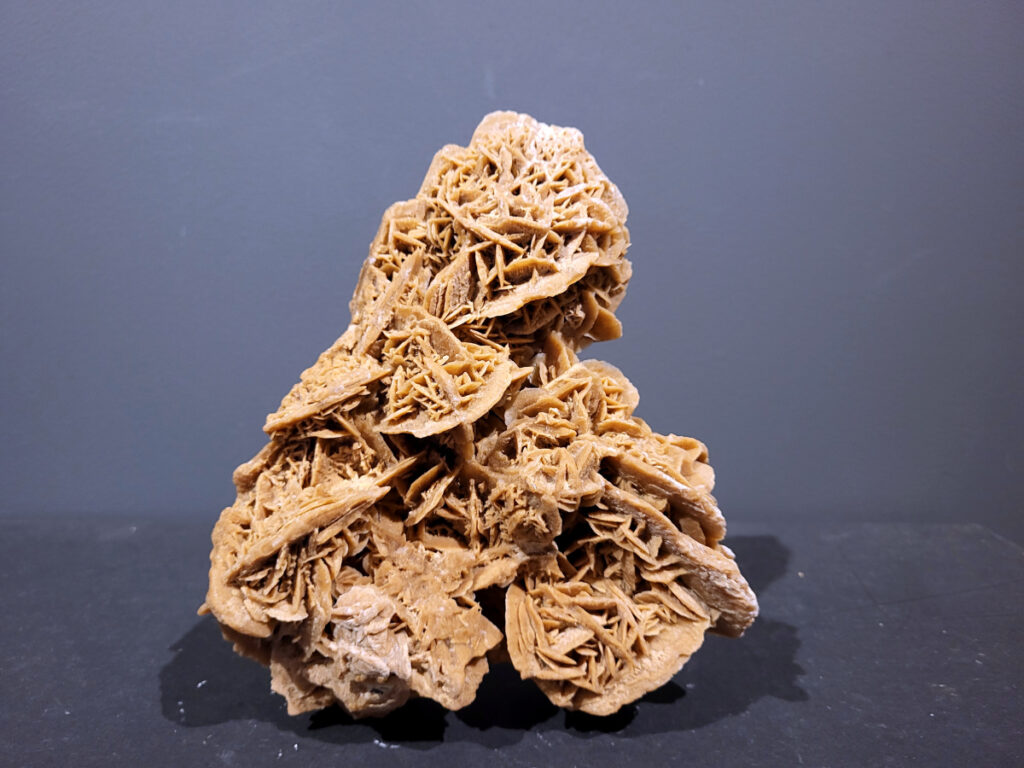 Woestijnroos, 1,5kg, 15,- euro, nr. 1

Hoe de woestijnroos ontstaat
Locatie: 
In droge, zanderige gebieden waar grondwater onder de grond zit. 
Proces: 
Door de hitte van de zon komt het grondwater aan het oppervlak, waar het vervolgens snel verdampt. 
Mineralen: 
Het water dat verdampt, bevat mineralen zoals gips of bariet, die als zoutkristallen achterblijven. 
Vorming: 
Deze mineralen mengen zich met de zandkorrels die aanwezig zijn in de grond en vormen een roosachtige structuur. Dit proces duurt jaren en resulteert in de karakteristieke, bloemachtige vorm van de woestijnroos. 

De woestijnroos wordt gezien als een steen die helpt bij innerlijke rust, bescherming en balans. De werking is gericht op het loslaten van negatieve energie, oude patronen en angsten, en het bevorderen van spirituele groei en helderheid. Fysiek wordt aangenomen dat het ondersteuning biedt bij stress, de huid kalmeert en de energiebalans in het lichaam verbetert.