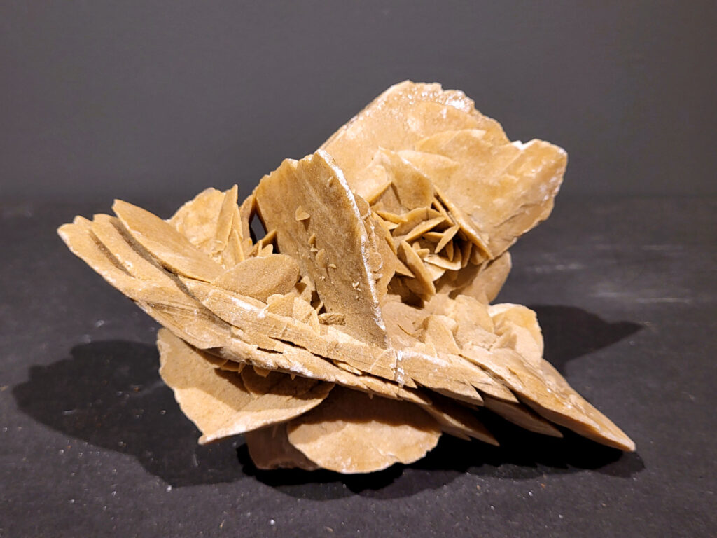 Woestijnroos, 1,6kg, 16,- euro, nr.8

Woestijnroos, ook bekend als Seleniet roos, is een mineraal dat in de alternatieve geneeskunde wordt geassocieerd met verschillende positieve eigenschappen. Het wordt gezien als een steen die bescherming, inzicht en innerlijke rust bevordert. Woestijnroos zou helpen bij het verminderen van stress en angst, het bevorderen van emotionele balans en mentale helderheid, en het loslaten van negatieve energie. 
Fysieke werking:
Pijnverlichting:
Woestijnroos wordt gezegd pijnstillend te werken, onder andere bij voorweeën en rugklachten. 
Hormonale balans:
Het zou helpen bij hormonale schommelingen en geprikkeldheid. 
Overige:
Remt vrije radicalen, ondersteunt bij epilepsie, oedeemvorming en borstvoeding. 
Reiniging:
Het zou de lucht zuiveren en is daarom geschikt voor mensen met luchtwegproblemen. 
Emotionele en spirituele werking:
Aarding en balans:
Het is een aardende steen die helpt om de energie in balans te brengen en te centreren. Loslaten:
Woestijnroos kan helpen bij het loslaten van negatieve gedragspatronen en beperkende overtuigingen. 
Bescherming:
Het wordt gezien als een beschermende steen die het energieveld reinigt en beschermt. 
Inzicht en verbinding:
Woestijnroos zou het bewustzijn verruimen, inzicht geven en de verbinding met hogere dimensies en spirituele gidsen vergemakkelijken. 
Meditatie:
Het is een goede steen om te gebruiken tijdens meditatie en andere spirituele oefeningen. 
Belangrijk om te weten:
Woestijnroos is een zachte steen en kan niet tegen water, dus het is niet geschikt om in water te reinigen of er elixer van te maken. 
Het wordt wel gebruikt voor het maken van een bruisbal die langzaam oplost in een bad. 
De steen kan wel energetisch gereinigd worden met bijvoorbeeld salie, palo santo of Florida water. 
Woestijnroos wordt ook gebruikt om plaatsen met verstoorde aarde-energie te omgeven met een raster. 
Het kan helpen bij het integreren van spirituele ervaringen in het dagelijks leven. 
Woestijnroos kan gebruikt worden om affirmaties te versterken. 

                 -Kunstgalerie-Arnold-