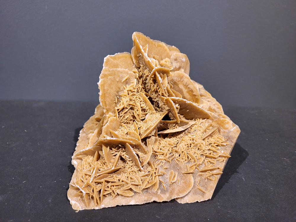 Woestijnroos, 1,7kg, 17,- euro, nr. 2

Een woestijnroos is een steen die ontstaat in woestijnen door de kristallisatie van gips of bariet, die achterblijven wanneer ondergronds water aan de oppervlakte komt en snel verdampt. Het verdampende water laat mineralen en zand achter, die door het snelle verdampingsproces in een rozetvormige structuur kristalliseren, waarbij zandkorrels in het kristalrooster worden opgenomen. 
Locatie: 
In droge, zanderige gebieden waar grondwater onder de grond zit. 
Proces: 
Door de hitte van de zon komt het grondwater aan het oppervlak, waar het vervolgens snel verdampt. 
Mineralen: 
Het water dat verdampt, bevat mineralen zoals gips of bariet, die als zoutkristallen achterblijven. 
Vorming: 
Deze mineralen mengen zich met de zandkorrels die aanwezig zijn in de grond en vormen een roosachtige structuur. Dit proces duurt jaren en resulteert in de karakteristieke, bloemachtige vorm van de woestijnroos. 

De woestijnroos wordt gezien als een steen die helpt bij innerlijke rust, bescherming en balans. De werking is gericht op het loslaten van negatieve energie, oude patronen en angsten, en het bevorderen van spirituele groei en helderheid. Fysiek wordt aangenomen dat het ondersteuning biedt bij stress, de huid kalmeert en de energiebalans in het lichaam verbetert.