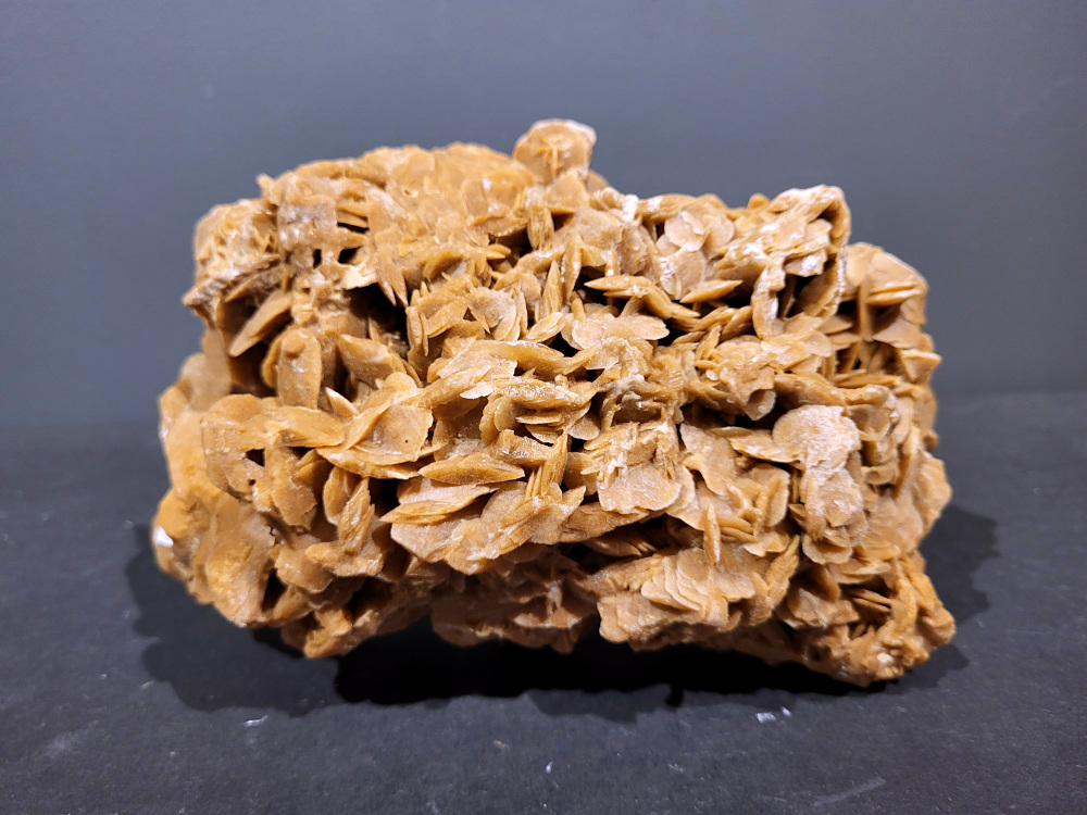 Woestijnroos, 2,5kg, 25,- euro, nr. 3

Een woestijnroos is een steen die ontstaat in woestijnen door de kristallisatie van gips of bariet, die achterblijven wanneer ondergronds water aan de oppervlakte komt en snel verdampt. Het verdampende water laat mineralen en zand achter, die door het snelle verdampingsproces in een rozetvormige structuur kristalliseren, waarbij zandkorrels in het kristalrooster worden opgenomen. 
Locatie: 
In droge, zanderige gebieden waar grondwater onder de grond zit. 
Proces: 
Door de hitte van de zon komt het grondwater aan het oppervlak, waar het vervolgens snel verdampt. 
Mineralen: 
Het water dat verdampt, bevat mineralen zoals gips of bariet, die als zoutkristallen achterblijven. 
Vorming: 
Deze mineralen mengen zich met de zandkorrels die aanwezig zijn in de grond en vormen een roosachtige structuur. Dit proces duurt jaren en resulteert in de karakteristieke, bloemachtige vorm van de woestijnroos. 

De woestijnroos wordt gezien als een steen die helpt bij innerlijke rust, bescherming en balans. De werking is gericht op het loslaten van negatieve energie, oude patronen en angsten, en het bevorderen van spirituele groei en helderheid. Fysiek wordt aangenomen dat het ondersteuning biedt bij stress, de huid kalmeert en de energiebalans in het lichaam verbetert.