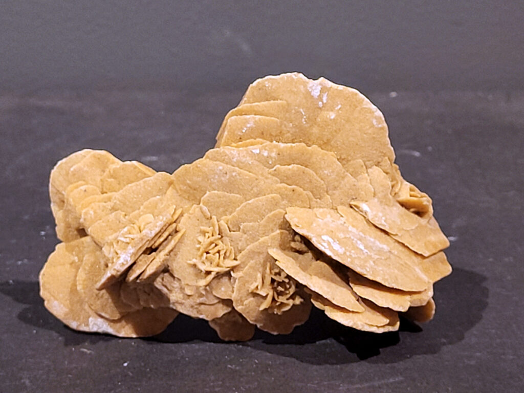 Woestijnroos, 180 gram, 1,75 euro, nr.5

Een woestijnroos is een steen die ontstaat in woestijnen door de kristallisatie van gips of bariet, die achterblijven wanneer ondergronds water aan de oppervlakte komt en snel verdampt. Het verdampende water laat mineralen en zand achter, die door het snelle verdampingsproces in een rozetvormige structuur kristalliseren, waarbij zandkorrels in het kristalrooster worden opgenomen. 
Locatie: 
In droge, zanderige gebieden waar grondwater onder de grond zit. 
Proces: 
Door de hitte van de zon komt het grondwater aan het oppervlak, waar het vervolgens snel verdampt. 
Mineralen: 
Het water dat verdampt, bevat mineralen zoals gips of bariet, die als zoutkristallen achterblijven. 
Vorming: 
Deze mineralen mengen zich met de zandkorrels die aanwezig zijn in de grond en vormen een roosachtige structuur. Dit proces duurt jaren en resulteert in de karakteristieke, bloemachtige vorm van de woestijnroos. 

De woestijnroos wordt gezien als een steen die helpt bij innerlijke rust, bescherming en balans. De werking is gericht op het loslaten van negatieve energie, oude patronen en angsten, en het bevorderen van spirituele groei en helderheid. Fysiek wordt aangenomen dat het ondersteuning biedt bij stress, de huid kalmeert en de energiebalans in het lichaam verbetert.