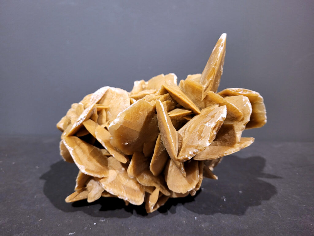 Woestijnroos, 2,4kg, 24,- euro, nr.4

Een woestijnroos is een steen die ontstaat in woestijnen door de kristallisatie van gips of bariet, die achterblijven wanneer ondergronds water aan de oppervlakte komt en snel verdampt. Het verdampende water laat mineralen en zand achter, die door het snelle verdampingsproces in een rozetvormige structuur kristalliseren, waarbij zandkorrels in het kristalrooster worden opgenomen. 
Locatie: 
In droge, zanderige gebieden waar grondwater onder de grond zit. 
Proces: 
Door de hitte van de zon komt het grondwater aan het oppervlak, waar het vervolgens snel verdampt. 
Mineralen: 
Het water dat verdampt, bevat mineralen zoals gips of bariet, die als zoutkristallen achterblijven. 
Vorming: 
Deze mineralen mengen zich met de zandkorrels die aanwezig zijn in de grond en vormen een roosachtige structuur. Dit proces duurt jaren en resulteert in de karakteristieke, bloemachtige vorm van de woestijnroos. 

De woestijnroos wordt gezien als een steen die helpt bij innerlijke rust, bescherming en balans. De werking is gericht op het loslaten van negatieve energie, oude patronen en angsten, en het bevorderen van spirituele groei en helderheid. Fysiek wordt aangenomen dat het ondersteuning biedt bij stress, de huid kalmeert en de energiebalans in het lichaam verbetert.