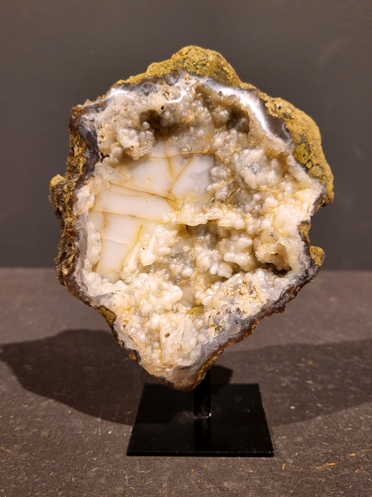 <strong>Agaat op standaard, 0,4kg, 14cm hoog, 18,- euro, nr. 42</strong>

<strong>Beschrijving Agaat.</strong>

Agaat is een veelzijdige edelsteen die bekend staat om zijn prachtige kleurbanden en patronen. Het is een variëteit van het mineraal kwarts, meer specifiek chalcedoon, en wordt vaak gebruikt in sieraden en als decoratieve steen. 
<strong>Algemene kenmerken:</strong>
Agaat is een microkristallijne vorm van kwarts, bestaande uit microscopisch kleine kristallen. 
<strong>Kleuren en patronen:</strong>
Agaat komt voor in vele kleuren, vaak met banden of lagen in verschillende tinten. 
Agaat is een populaire keuze voor het maken van kettingen, armbanden, ringen en andere sieraden vanwege de esthetische aantrekkingskracht en duurzaamheid. 
<strong>Spirituele eigenschappen:</strong>
Agaat wordt vaak geassocieerd met aardende, stabiliserende en beschermende eigenschappen. 
<strong>Helende werking:</strong>
Er wordt aangenomen dat agaat kan helpen bij het verminderen van stress, het bevorderen van emotioneel evenwicht en het versterken van het zelfvertrouwen. 
<strong>Verzorging van agaat:</strong>
Agaat is relatief gemakkelijk te onderhouden. Het kan worden gereinigd met lauw water, de rook van witte salie of palo santo, of door het op een hematiet- of bergkristal-cluster te plaatsen. 

<strong>-	Kunstgalerie-Arnold -</strong>