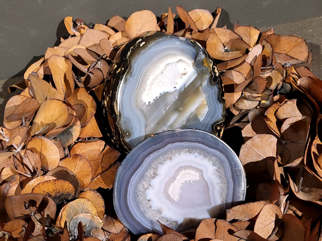 <strong>Agaat, paar, 2,2kg, 112,- euro, nr. 32</strong>

<strong>Beschrijving Agaat.</strong>


Agaat is een veelzijdige edelsteen die bekend staat om zijn prachtige kleurbanden en patronen. Het is een variëteit van het mineraal kwarts, meer specifiek chalcedoon, en wordt vaak gebruikt in sieraden en als decoratieve steen. 
<strong>Algemene kenmerken:</strong>
Agaat is een microkristallijne vorm van kwarts, bestaande uit microscopisch kleine kristallen. 
<strong>Kleuren en patronen:</strong>
Agaat komt voor in vele kleuren, vaak met banden of lagen in verschillende tinten. 
Agaat is een populaire keuze voor het maken van kettingen, armbanden, ringen en andere sieraden vanwege de esthetische aantrekkingskracht en duurzaamheid. 
<strong>Spirituele eigenschappen:</strong>
Agaat wordt vaak geassocieerd met aardende, stabiliserende en beschermende eigenschappen. 
<strong>Helende werking:</strong>
Er wordt aangenomen dat agaat kan helpen bij het verminderen van stress, het bevorderen van emotioneel evenwicht en het versterken van het zelfvertrouwen. 
<strong>Verzorging van agaat:</strong>
Agaat is relatief gemakkelijk te onderhouden. Het kan worden gereinigd met lauw water, de rook van witte salie of palo santo, of door het op een hematiet- of bergkristal-cluster te plaatsen. 

<strong>-	Kunstgalerie-Arnold -</strong>