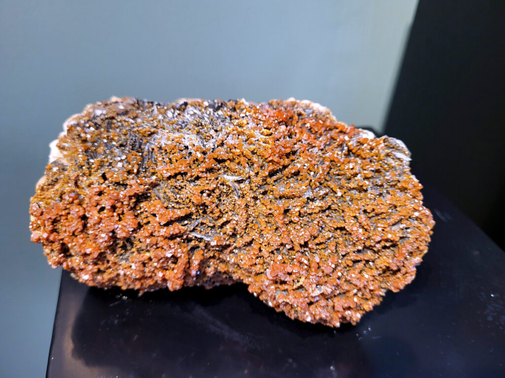 <strong>Vadiniet op Bariet, 2,5kg, 125,- euro, nr. 503</strong>

<strong>Vanadiniet en bariet zijn beide mineralen die vaak samen met andere mineralen in oxidatiezones van lood- en zinkaders voorkomen, waarbij vanadiniet kleine rode kristallen vormt op de witte tot kleurloze kristalplaten van bariet.</strong>
Vanadiniet
Vanadiniet is een mineraal behorend tot de groep van chlooride mineralen van lood (Pb₅(VO₄)₃Cl). Het staat bekend om zijn dieprode tot oranjerode kristallen, vaak hexagonaal van vorm. Vanadiniet ontstaat meestal in de oxidatiezone van loodertsen, en het wordt soms verzameld vanwege zijn spectaculaire kristalvorm en kleur. Vanadiniet kan ook geringe hoeveelheden bariet en andere achtergrondmineralen bevatten. Het heeft een hoge densiteit en een glasachtige glans.
Bariet
Bariet (BaSO₄) is een zwaar mineraal dat algemeen voorkomt in sedimentaire gesteenten en hydrothermale aders. Het kan transparant tot wit of lichtkleurig zijn en vormt vaak platen of prisma’s. Bariet is vrij zacht vergeleken met vanadiniet en wordt veel gebruikt in de industrie, bijvoorbeeld in verf, als bestralingabsorbeermateriaal of in boorvloeistoffen.
<strong>Associatie van Vanadiniet met Bariet</strong>
In de minerologie komt vanadiniet vaak voor op of samen met bariet, omdat beide mineralen zich kunnen vormen in de oxidatiezone van loodaders. Deze combinatie wordt soms door verzamelaars gezocht omdat de contrasterende kleuren en kristalvormen esthetisch aantrekkelijk zijn: de rode kristallen van vanadiniet op een witte of lichtgekleurde barietbasis. Van bijzondere exemplaren wordt er een hogere verzamelwaarde gegeven.
<strong>Vindplaatsen</strong>
Vanadiniet met bariet wordt gevonden in meerdere locaties wereldwijd, vooral in gebieden met lood- en zinkaders in woestijnachtige of rotsachtige omgevingen. Bekende vindplaatsen zijn Mexico, Marokko en sommige delen van de Verenigde Staten, waar vanadiniet op barietplaten in oxidatiezones wordt aangetroffen.


<strong>Gebruik en Verzamelwaarde
Verzamelaars: Vanadiniet-op-bariet specimens zijn populair vanwege de visuele aantrekkingskracht.</strong>
Wetenschappelijk: Beide mineralen zijn interessant voor studie van oxidatieprocessen en geochemie van zware metalen.
Industrieel: Bariet is industrieel belangrijk; vanadiniet heeft zeldzaam een kleine toepassing als vanadiumbron, maar vooral verzamelobject.
Kortom, vanadiniet op bariet is een aantrekkelijke combinatie voor mineralenverzamelaars en geeft inzicht in geologische processen in oxidatiezones van loodaders.