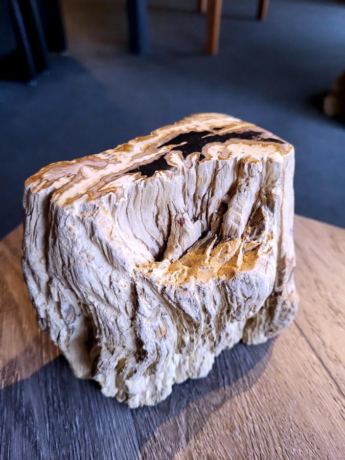<strong>Versteend hout, 2,7 kg, 21,- euro, nr. 41</strong>

Beschrijving, Versteend Hout.
<strong>Versteend hout is fossiel hout, waarin alle organische materialen met behoud van de structuur van het hout zijn vervangen door mineralen (meestal door silicaten, zoals kwarts).</strong> Het proces van verstening gebeurt onder de grond, wanneer een boom bedolven raakt onder sediment, en kan miljoenen jaren duren. Grondwater dat langzaam door de bodem sijpelt, zet mineralen af op plaatsen waar lignine en cellulose wegrotten. Als de afzetting en rotting even snel gaan, blijft de vorm van de cellen behouden.
<strong>De kleinste details kunnen worden vereeuwigd. Versteende jaarringen en verschillende weefsels kunnen tot op microscopisch niveau worden getraceerd. Versteend hout heeft een hardheid van 7 op de hardheidsschaal van Mohs, hetzelfde als kwarts.</strong>