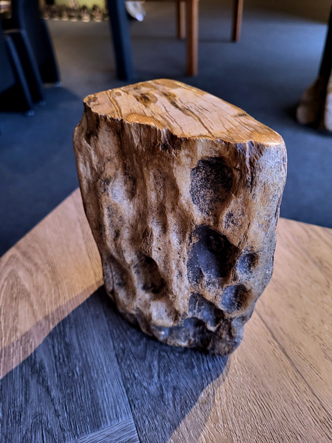 <strong>Versteend hout, 3,1 kg, 23,- euro, nr. 44</strong>

Beschrijving, Versteend Hout.
<strong>Versteend hout is fossiel hout, waarin alle organische materialen met behoud van de structuur van het hout zijn vervangen door mineralen (meestal door silicaten, zoals kwarts).</strong> Het proces van verstening gebeurt onder de grond, wanneer een boom bedolven raakt onder sediment, en kan miljoenen jaren duren. Grondwater dat langzaam door de bodem sijpelt, zet mineralen af op plaatsen waar lignine en cellulose wegrotten. Als de afzetting en rotting even snel gaan, blijft de vorm van de cellen behouden.
<strong>De kleinste details kunnen worden vereeuwigd. Versteende jaarringen en verschillende weefsels kunnen tot op microscopisch niveau worden getraceerd. Versteend hout heeft een hardheid van 7 op de hardheidsschaal van Mohs, hetzelfde als kwarts.</strong>