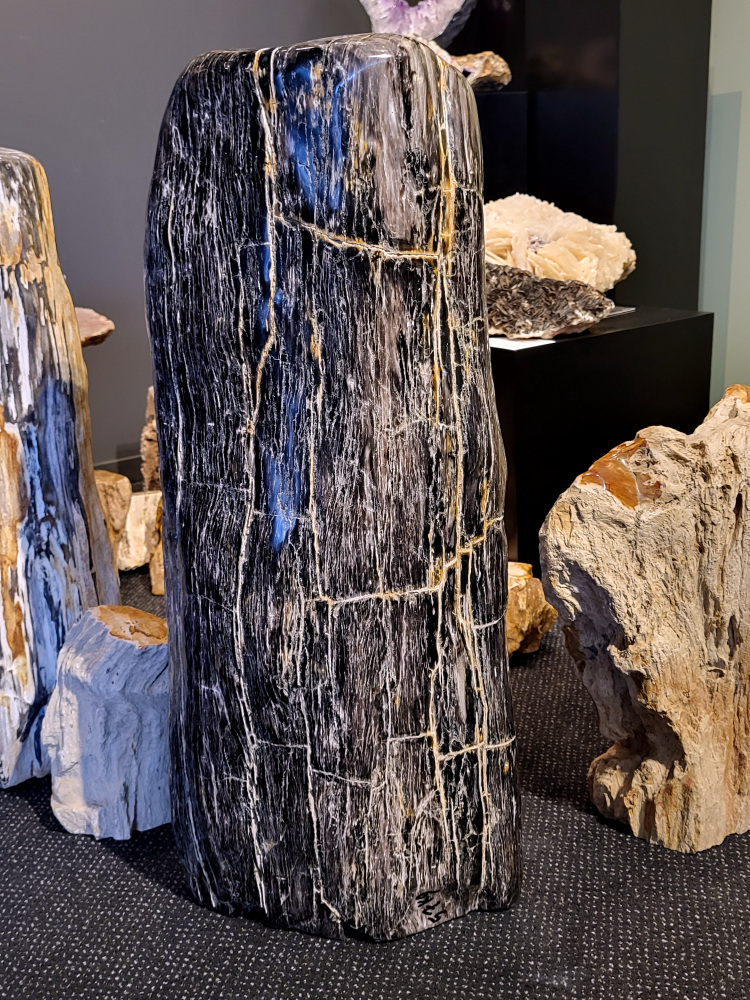 Versteend hout, versteende houtschijf, stam, plak, versteende boomstam, 75 cm hoog, +50 kg, 350,- euro, nr. 6

Beschrijving, Versteend Hout.
Versteend hout is fossiel hout, waarin alle organische materialen met behoud van de structuur van het hout zijn vervangen door mineralen (meestal door silicaten, zoals kwarts). Het proces van verstening gebeurt onder de grond, wanneer een boom bedolven raakt onder sediment, en kan miljoenen jaren duren. Grondwater dat langzaam door de bodem sijpelt, zet mineralen af op plaatsen waar lignine en cellulose wegrotten. Als de afzetting en rotting even snel gaan, blijft de vorm van de cellen behouden.
De kleinste details kunnen worden vereeuwigd. Versteende jaarringen en verschillende weefsels kunnen tot op microscopisch niveau worden getraceerd. Versteend hout heeft een hardheid van 7 op de hardheidsschaal van Mohs, hetzelfde als kwarts.
Versteend hout
Chakra: wortelchakra (Muladhara)
Versteend hout is miljoenen jaren oud!
Waar komt versteend hout vandaan en hoe ontstaan het?
Versteend hout, of gefossiliseerd hout, ontstaat wanneer een boom na zijn overlijden bedekt wordt door sediment, waardoor het langzaam omgezet wordt in steen. In plaats van te vergaan, wordt het hout geleidelijk vervangen door mineralen zoals silica. Dit proces behoudt de originele structuur van het hout, inclusief details zoals jaarringen en nerven. Het kan miljoenen jaren duren, aangezien het water dat rijk is aan mineralen de houtcellen binnendringt, terwijl zuurstof geen rol meer speelt in de afbraak.
De kleur van versteend hout is precies zoals het hout er oorspronkelijk uit zag.
Waar kan versteend hout niet goed tegen?
Het is bestand tegen de meeste elementen, maar kan niet goed tegen langdurige blootstelling aan fel zonlicht, extreme temperatuurwisselingen en scherpe voorwerpen die krassen kunnen veroorzaken. 
Spirituele werking van versteend hout: 
> stabiliteit, rust en veiligheid
Fysiek zou het positieve effecten hebben op het skelet, de botten en de rug, en kan het ondersteuning bieden bij aandoeningen zoals osteoporose en ADHD.
Hoe opladen?
Je kunt versteend hout, als het volle maan is, ‘s nachts in het maanlicht leggen, bij een bergkristal of andere stenen leggen of reinigen met saliehout/palo santo.