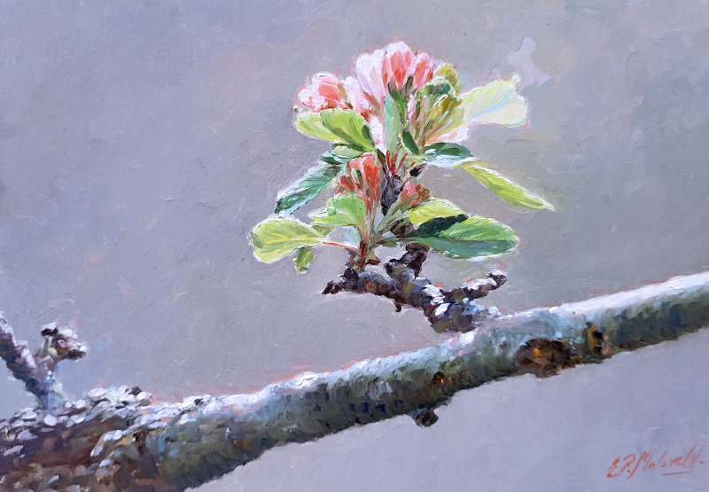 Ed Moleveld, meerdere werken voor overzicht tentoonstelling maand juni, nr. 53