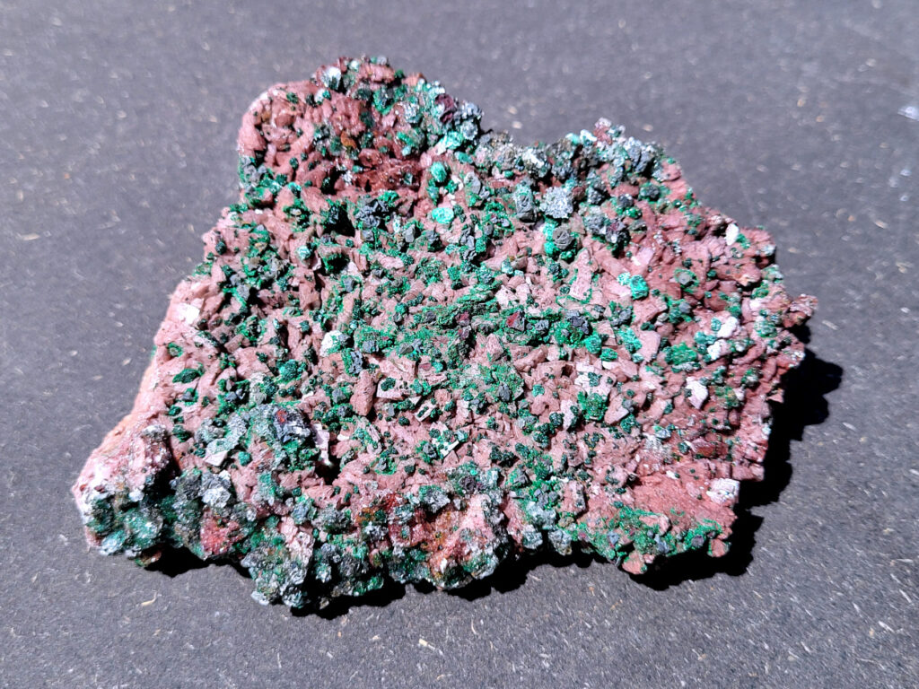 <strong>Malachiet op Dolemiet, 0,6kg, 14x10cm, 30,- euro, nr. 1

Malachiet op Dolomiet, beschrijving,

Dit kleurrijke exemplaar bevat blauwgroene rosasiet- en groene malachietkristallenaggregaties, bovenop een laag van donkerroodbruine ferroan dolomiet. Doorschijnende selenietkristallen zijn te vinden over de hele dolomiet, evenals die de rosasiet- en malachietkristalformaties omhullen.
Rosasiet is een secundair mineraal dat zich vormt in oxidatiezones van koper-zink afzettingen, waarbij doorgaans een vezelige botryoïdale bol ontstaat die glasachtig en zijdeachtig kan lijken. Hoewel ze doorgaans een blauwgroene kleur hebben, zijn kleurloze exemplaren niet ongehoord. De chemische formule van rosasiet is CuZnCO3(OH)2.

Over Malachiet:
Malachiet is een intens groen koperachtig mineraal dat in een grote verscheidenheid aan vormen voorkomt. Malachiet kan groeien in botryoïdale massa's, stalactietische formaties en reniforme formaties, meestal als een dichte cluster van waaierende vezelige naalden die een ogenschijnlijk vaste massa vormen. Naarmate lagen zich blijven opstapelen tijdens de vorming, kunnen soms gestreepte patronen vorm krijgen, wat de ringen in alle tinten groen verklaart die bij de meeste gepolijste malachietexemplaren te zien zijn.

Malachiet ontstaat door verwering van andere koperertsen en wordt zeer vaak gevonden in verband met andere koperhoudende mineralen zoals azuriet en chrysocolla. Het is te vinden in koperafzettingen over de hele wereld, maar de Democratische Republiek Congo is de belangrijkste bron voor gepolijste malachiet- en mineraalmonsters.

Malachiet wordt al sinds de oudheid gewaardeerd, eerst als utilitair kopererts en daarna als siersteen. Vanwege zijn waarde als decoratieve steen wordt het zelden nog als kopererts gewonnen.</strong>