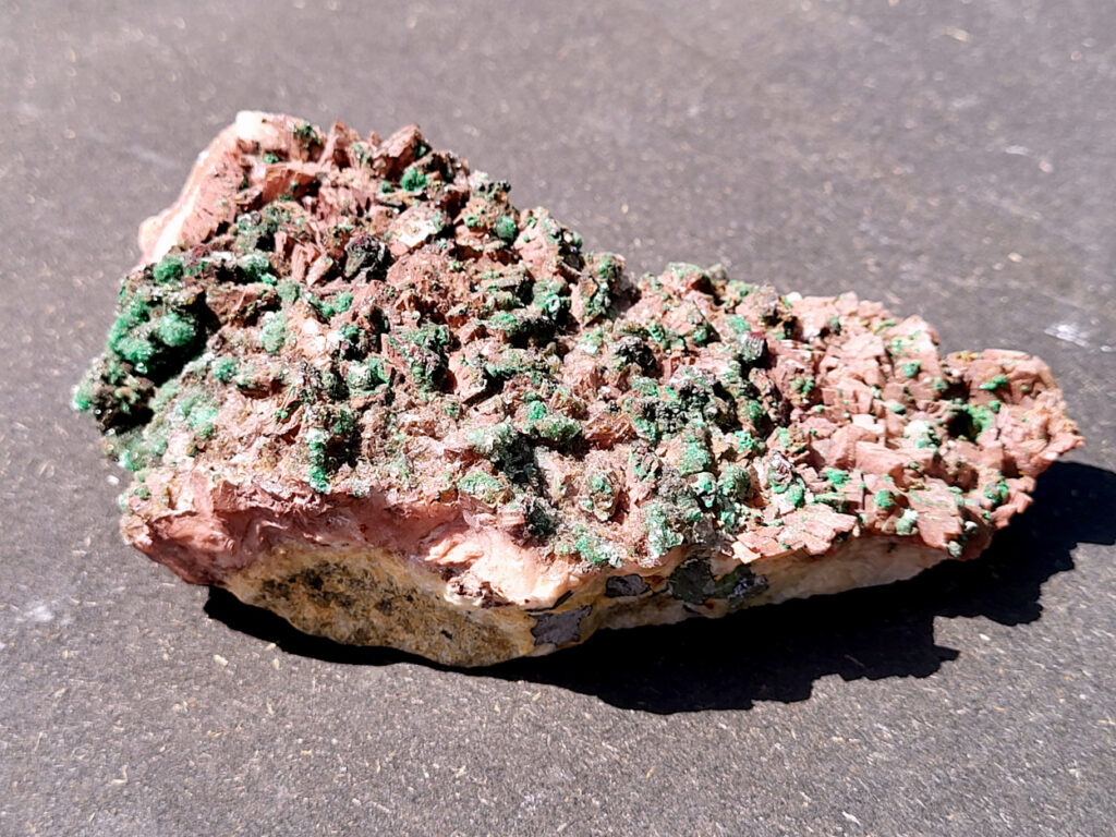 <strong>Malachiet op Dolemiet, 0,6kg, 15x7cm, 30,- euro, nr. 3

Malachiet op Dolomiet

Dit kleurrijke exemplaar bevat blauwgroene rosasiet- en groene malachietkristallenaggregaties, bovenop een laag van donkerroodbruine ferroan dolomiet. Doorschijnende selenietkristallen zijn te vinden over de hele dolomiet, evenals die de rosasiet- en malachietkristalformaties omhullen.
Rosasiet is een secundair mineraal dat zich vormt in oxidatiezones van koper-zink afzettingen, waarbij doorgaans een vezelige botryoïdale bol ontstaat die glasachtig en zijdeachtig kan lijken. Hoewel ze doorgaans een blauwgroene kleur hebben, zijn kleurloze exemplaren niet ongehoord. De chemische formule van rosasiet is CuZnCO3(OH)2.

Over Malachiet:
Malachiet is een intens groen koperachtig mineraal dat in een grote verscheidenheid aan vormen voorkomt. Malachiet kan groeien in botryoïdale massa's, stalactietische formaties en reniforme formaties, meestal als een dichte cluster van waaierende vezelige naalden die een ogenschijnlijk vaste massa vormen. Naarmate lagen zich blijven opstapelen tijdens de vorming, kunnen soms gestreepte patronen vorm krijgen, wat de ringen in alle tinten groen verklaart die bij de meeste gepolijste malachietexemplaren te zien zijn.

Malachiet ontstaat door verwering van andere koperertsen en wordt zeer vaak gevonden in verband met andere koperhoudende mineralen zoals azuriet en chrysocolla. Het is te vinden in koperafzettingen over de hele wereld, maar de Democratische Republiek Congo is de belangrijkste bron voor gepolijste malachiet- en mineraalmonsters.

Malachiet wordt al sinds de oudheid gewaardeerd, eerst als utilitair kopererts en daarna als siersteen. Vanwege zijn waarde als decoratieve steen wordt het zelden nog als kopererts gewonnen.</strong>