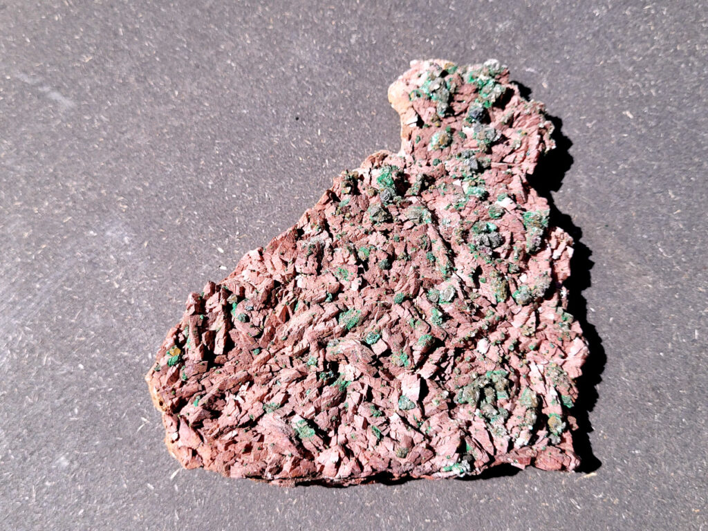 <strong>Malachiet op Dolemiet, 0,6kg, 16x11cm, 30,- euro, nr. 4

Malachiet op Dolomiet

Dit kleurrijke exemplaar bevat blauwgroene rosasiet- en groene malachietkristallenaggregaties, bovenop een laag van donkerroodbruine ferroan dolomiet. Doorschijnende selenietkristallen zijn te vinden over de hele dolomiet, evenals die de rosasiet- en malachietkristalformaties omhullen.
Rosasiet is een secundair mineraal dat zich vormt in oxidatiezones van koper-zink afzettingen, waarbij doorgaans een vezelige botryoïdale bol ontstaat die glasachtig en zijdeachtig kan lijken. Hoewel ze doorgaans een blauwgroene kleur hebben, zijn kleurloze exemplaren niet ongehoord. De chemische formule van rosasiet is CuZnCO3(OH)2.

Over Malachiet:
Malachiet is een intens groen koperachtig mineraal dat in een grote verscheidenheid aan vormen voorkomt. Malachiet kan groeien in botryoïdale massa's, stalactietische formaties en reniforme formaties, meestal als een dichte cluster van waaierende vezelige naalden die een ogenschijnlijk vaste massa vormen. Naarmate lagen zich blijven opstapelen tijdens de vorming, kunnen soms gestreepte patronen vorm krijgen, wat de ringen in alle tinten groen verklaart die bij de meeste gepolijste malachietexemplaren te zien zijn.

Malachiet ontstaat door verwering van andere koperertsen en wordt zeer vaak gevonden in verband met andere koperhoudende mineralen zoals azuriet en chrysocolla. Het is te vinden in koperafzettingen over de hele wereld, maar de Democratische Republiek Congo is de belangrijkste bron voor gepolijste malachiet- en mineraalmonsters.

Malachiet wordt al sinds de oudheid gewaardeerd, eerst als utilitair kopererts en daarna als siersteen. Vanwege zijn waarde als decoratieve steen wordt het zelden nog als kopererts gewonnen.
</strong>