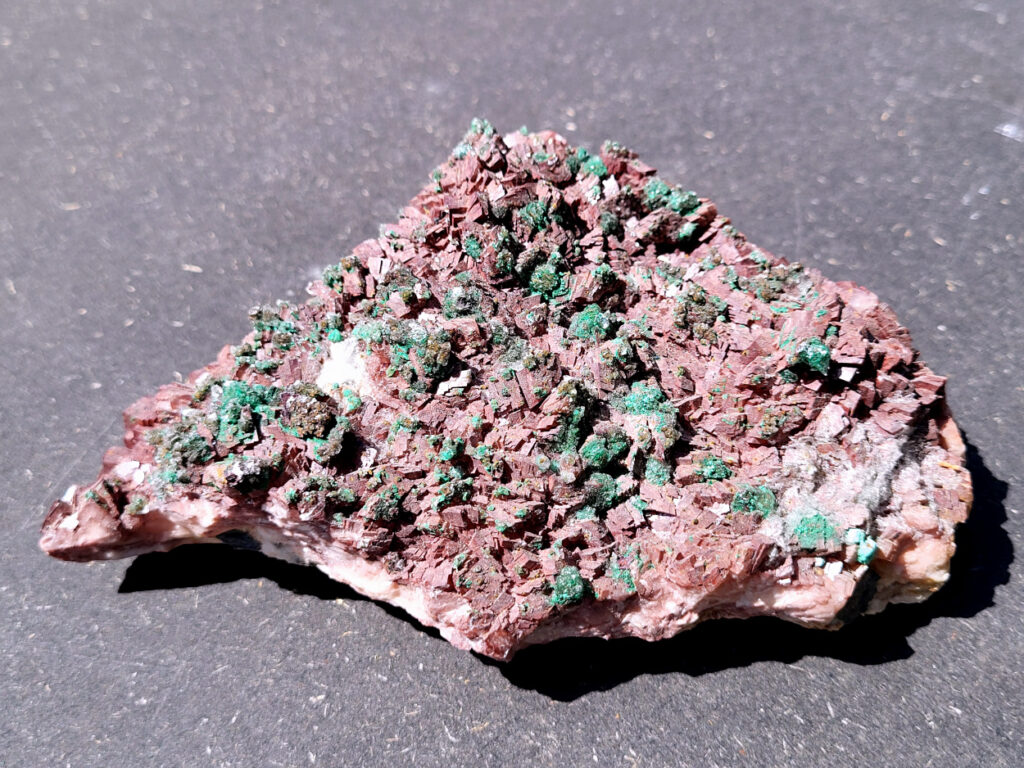 <strong>Malachiet op Dolemiet, 0,7kg, 16x11cm, 36,- euro, nr. 5

Malachiet op Dolomiet

Dit kleurrijke exemplaar bevat blauwgroene rosasiet- en groene malachietkristallenaggregaties, bovenop een laag van donkerroodbruine ferroan dolomiet. Doorschijnende selenietkristallen zijn te vinden over de hele dolomiet, evenals die de rosasiet- en malachietkristalformaties omhullen.
Rosasiet is een secundair mineraal dat zich vormt in oxidatiezones van koper-zink afzettingen, waarbij doorgaans een vezelige botryoïdale bol ontstaat die glasachtig en zijdeachtig kan lijken. Hoewel ze doorgaans een blauwgroene kleur hebben, zijn kleurloze exemplaren niet ongehoord. De chemische formule van rosasiet is CuZnCO3(OH)2.

Over Malachiet:
Malachiet is een intens groen koperachtig mineraal dat in een grote verscheidenheid aan vormen voorkomt. Malachiet kan groeien in botryoïdale massa's, stalactietische formaties en reniforme formaties, meestal als een dichte cluster van waaierende vezelige naalden die een ogenschijnlijk vaste massa vormen. Naarmate lagen zich blijven opstapelen tijdens de vorming, kunnen soms gestreepte patronen vorm krijgen, wat de ringen in alle tinten groen verklaart die bij de meeste gepolijste malachietexemplaren te zien zijn.

Malachiet ontstaat door verwering van andere koperertsen en wordt zeer vaak gevonden in verband met andere koperhoudende mineralen zoals azuriet en chrysocolla. Het is te vinden in koperafzettingen over de hele wereld, maar de Democratische Republiek Congo is de belangrijkste bron voor gepolijste malachiet- en mineraalmonsters.

Malachiet wordt al sinds de oudheid gewaardeerd, eerst als utilitair kopererts en daarna als siersteen. Vanwege zijn waarde als decoratieve steen wordt het zelden nog als kopererts gewonnen.</strong>