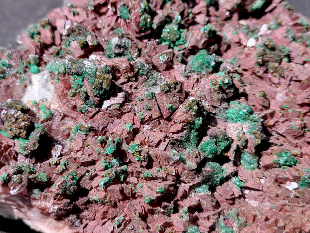 <strong>Malachiet op Dolemiet, 0,7kg, 16x11cm, 36,- euro, detailfoto, nr. 5

Malachiet op Dolomiet

Dit kleurrijke exemplaar bevat blauwgroene rosasiet- en groene malachietkristallenaggregaties, bovenop een laag van donkerroodbruine ferroan dolomiet. Doorschijnende selenietkristallen zijn te vinden over de hele dolomiet, evenals die de rosasiet- en malachietkristalformaties omhullen.
Rosasiet is een secundair mineraal dat zich vormt in oxidatiezones van koper-zink afzettingen, waarbij doorgaans een vezelige botryoïdale bol ontstaat die glasachtig en zijdeachtig kan lijken. Hoewel ze doorgaans een blauwgroene kleur hebben, zijn kleurloze exemplaren niet ongehoord. De chemische formule van rosasiet is CuZnCO3(OH)2.

Over Malachiet:
Malachiet is een intens groen koperachtig mineraal dat in een grote verscheidenheid aan vormen voorkomt. Malachiet kan groeien in botryoïdale massa's, stalactietische formaties en reniforme formaties, meestal als een dichte cluster van waaierende vezelige naalden die een ogenschijnlijk vaste massa vormen. Naarmate lagen zich blijven opstapelen tijdens de vorming, kunnen soms gestreepte patronen vorm krijgen, wat de ringen in alle tinten groen verklaart die bij de meeste gepolijste malachietexemplaren te zien zijn.

Malachiet ontstaat door verwering van andere koperertsen en wordt zeer vaak gevonden in verband met andere koperhoudende mineralen zoals azuriet en chrysocolla. Het is te vinden in koperafzettingen over de hele wereld, maar de Democratische Republiek Congo is de belangrijkste bron voor gepolijste malachiet- en mineraalmonsters.

Malachiet wordt al sinds de oudheid gewaardeerd, eerst als utilitair kopererts en daarna als siersteen. Vanwege zijn waarde als decoratieve steen wordt het zelden nog als kopererts gewonnen.</strong>