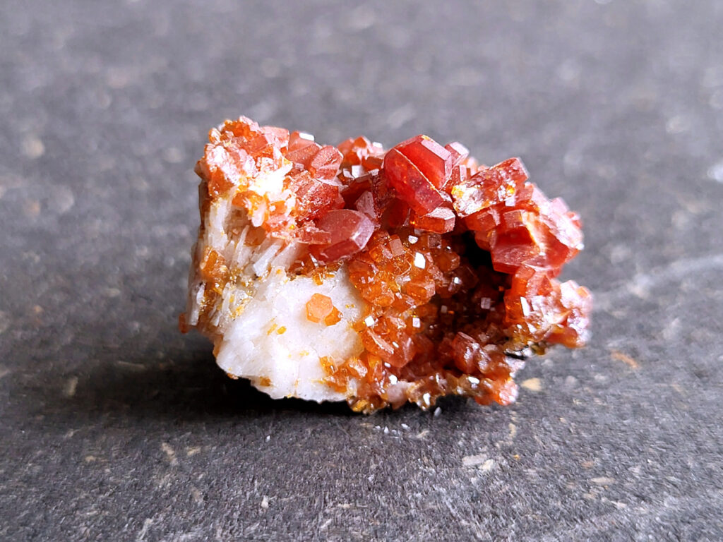 <strong>Vanadiniet, 2,5cm doorsnee, 8,- euro, nr. 116</strong>

<strong>Vanadiniet, beschrijving,

Vanadiniet is een mineraal behorend tot de groep van chlooride mineralen van lood (Pb₅(VO₄)₃Cl). Het staat bekend om zijn dieprode tot oranjerode    kristallen, vaak hexagonaal van vorm. Vanadiniet ontstaat meestal in de     oxidatiezone van loodertsen, en het wordt soms verzameld vanwege zijn spectaculaire kristalvorm en kleur. Vanadiniet kan ook geringe hoeveelheden bariet en andere achtergrondmineralen bevatten. Het heeft een hoge           densiteit en een glasachtige glans.

Associatie van Vanadiniet met Bariet
In de minerologie komt vanadiniet vaak voor op of samen met bariet, 
omdat beide mineralen zich kunnen vormen in de oxidatiezone van 
loodaders. Deze combinatie wordt soms door verzamelaars gezocht omdat de contrasterende kleuren en kristalvormen esthetisch aantrekkelijk zijn: de rode kristallen van vanadiniet op een witte of lichtgekleurde barietbasis. Van bijzondere exemplaren wordt er een hogere verzamelwaarde gegeven.
Vindplaatsen
Vanadiniet met bariet wordt gevonden in meerdere locaties wereldwijd, 
vooral in gebieden met lood- en zinkaders in woestijnachtige of rotsachtige omgevingen. Bekende vindplaatsen zijn Mexico, Marokko en sommige 
delen van de Verenigde Staten, waar vanadiniet op barietplaten in 
oxidatiezones wordt aangetroffen.

Gebruik en Verzamelwaarde
Verzamelaars: Vanadiniet-op-bariet specimens zijn populair vanwege de visuele aantrekkingskracht.
Wetenschappelijk: Beide mineralen zijn interessant voor studie van oxidatieprocessen en geochemie van zware metalen.
Industrieel: Bariet is industrieel belangrijk; vanadiniet heeft zeldzaam een kleine toepassing als vanadiumbron, maar vooral verzamelobject.
Kortom, vanadiniet op bariet is een aantrekkelijke combinatie voor mineralenverzamelaars en geeft inzicht in geologische processen in oxidatiezones van loodaders.
</strong>