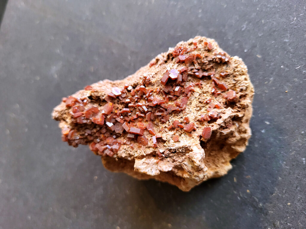 <strong>Vanadiniet, 288 gram, 9cm doorsnee, 18,- euro, nr. 104

Vanadiniet, beschrijving,

Vanadiniet is een mineraal behorend tot de groep van chlooride mineralen van lood (Pb₅(VO₄)₃Cl). Het staat bekend om zijn dieprode tot oranjerode    kristallen, vaak hexagonaal van vorm. Vanadiniet ontstaat meestal in de     oxidatiezone van loodertsen, en het wordt soms verzameld vanwege zijn spectaculaire kristalvorm en kleur. Vanadiniet kan ook geringe hoeveelheden bariet en andere achtergrondmineralen bevatten. Het heeft een hoge           densiteit en een glasachtige glans.

Associatie van Vanadiniet met Bariet
In de minerologie komt vanadiniet vaak voor op of samen met bariet, 
omdat beide mineralen zich kunnen vormen in de oxidatiezone van 
loodaders. Deze combinatie wordt soms door verzamelaars gezocht omdat de contrasterende kleuren en kristalvormen esthetisch aantrekkelijk zijn: de rode kristallen van vanadiniet op een witte of lichtgekleurde barietbasis. Van bijzondere exemplaren wordt er een hogere verzamelwaarde gegeven.
Vindplaatsen
Vanadiniet met bariet wordt gevonden in meerdere locaties wereldwijd, 
vooral in gebieden met lood- en zinkaders in woestijnachtige of rotsachtige omgevingen. Bekende vindplaatsen zijn Mexico, Marokko en sommige 
delen van de Verenigde Staten, waar vanadiniet op barietplaten in 
oxidatiezones wordt aangetroffen.

Gebruik en Verzamelwaarde
Verzamelaars: Vanadiniet-op-bariet specimens zijn populair vanwege de visuele aantrekkingskracht.
Wetenschappelijk: Beide mineralen zijn interessant voor studie van oxidatieprocessen en geochemie van zware metalen.
Industrieel: Bariet is industrieel belangrijk; vanadiniet heeft zeldzaam een kleine toepassing als vanadiumbron, maar vooral verzamelobject.
Kortom, vanadiniet op bariet is een aantrekkelijke combinatie voor mineralenverzamelaars en geeft inzicht in geologische processen in oxidatiezones van loodaders.
</strong>