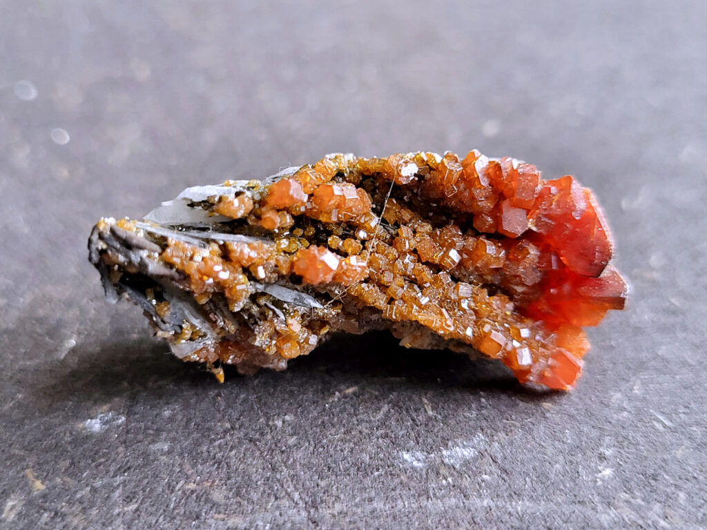 <strong>Vanadiniet, 3cm doorsnee, 8,- euro, nr. 113

Vanadiniet, beschrijving,

Vanadiniet is een mineraal behorend tot de groep van chlooride mineralen van lood (Pb₅(VO₄)₃Cl). Het staat bekend om zijn dieprode tot oranjerode    kristallen, vaak hexagonaal van vorm. Vanadiniet ontstaat meestal in de     oxidatiezone van loodertsen, en het wordt soms verzameld vanwege zijn spectaculaire kristalvorm en kleur. Vanadiniet kan ook geringe hoeveelheden bariet en andere achtergrondmineralen bevatten. Het heeft een hoge           densiteit en een glasachtige glans.

Associatie van Vanadiniet met Bariet
In de minerologie komt vanadiniet vaak voor op of samen met bariet, 
omdat beide mineralen zich kunnen vormen in de oxidatiezone van 
loodaders. Deze combinatie wordt soms door verzamelaars gezocht omdat de contrasterende kleuren en kristalvormen esthetisch aantrekkelijk zijn: de rode kristallen van vanadiniet op een witte of lichtgekleurde barietbasis. Van bijzondere exemplaren wordt er een hogere verzamelwaarde gegeven.
Vindplaatsen
Vanadiniet met bariet wordt gevonden in meerdere locaties wereldwijd, 
vooral in gebieden met lood- en zinkaders in woestijnachtige of rotsachtige omgevingen. Bekende vindplaatsen zijn Mexico, Marokko en sommige 
delen van de Verenigde Staten, waar vanadiniet op barietplaten in 
oxidatiezones wordt aangetroffen.

Gebruik en Verzamelwaarde
Verzamelaars: Vanadiniet-op-bariet specimens zijn populair vanwege de visuele aantrekkingskracht.
Wetenschappelijk: Beide mineralen zijn interessant voor studie van oxidatieprocessen en geochemie van zware metalen.
Industrieel: Bariet is industrieel belangrijk; vanadiniet heeft zeldzaam een kleine toepassing als vanadiumbron, maar vooral verzamelobject.
Kortom, vanadiniet op bariet is een aantrekkelijke combinatie voor mineralenverzamelaars en geeft inzicht in geologische processen in oxidatiezones van loodaders.
</strong>