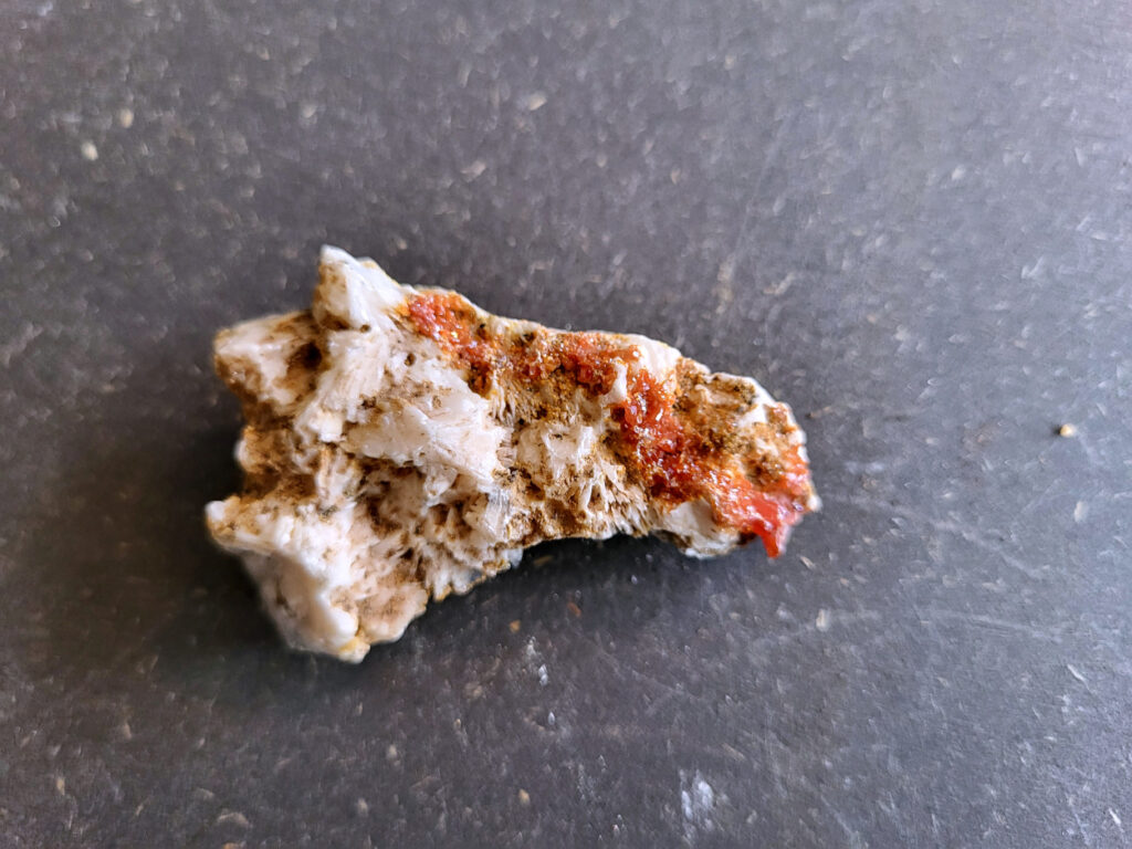 <strong>Vanadiniet, 62 gram, 6cm doorsnee, 8,- euro, nr. 108

Vanadiniet, beschrijving,

Vanadiniet is een mineraal behorend tot de groep van chlooride mineralen van lood (Pb₅(VO₄)₃Cl). Het staat bekend om zijn dieprode tot oranjerode    kristallen, vaak hexagonaal van vorm. Vanadiniet ontstaat meestal in de     oxidatiezone van loodertsen, en het wordt soms verzameld vanwege zijn spectaculaire kristalvorm en kleur. Vanadiniet kan ook geringe hoeveelheden bariet en andere achtergrondmineralen bevatten. Het heeft een hoge           densiteit en een glasachtige glans.

Associatie van Vanadiniet met Bariet
In de minerologie komt vanadiniet vaak voor op of samen met bariet, 
omdat beide mineralen zich kunnen vormen in de oxidatiezone van 
loodaders. Deze combinatie wordt soms door verzamelaars gezocht omdat de contrasterende kleuren en kristalvormen esthetisch aantrekkelijk zijn: de rode kristallen van vanadiniet op een witte of lichtgekleurde barietbasis. Van bijzondere exemplaren wordt er een hogere verzamelwaarde gegeven.
Vindplaatsen
Vanadiniet met bariet wordt gevonden in meerdere locaties wereldwijd, 
vooral in gebieden met lood- en zinkaders in woestijnachtige of rotsachtige omgevingen. Bekende vindplaatsen zijn Mexico, Marokko en sommige 
delen van de Verenigde Staten, waar vanadiniet op barietplaten in 
oxidatiezones wordt aangetroffen.

Gebruik en Verzamelwaarde
Verzamelaars: Vanadiniet-op-bariet specimens zijn populair vanwege de visuele aantrekkingskracht.
Wetenschappelijk: Beide mineralen zijn interessant voor studie van oxidatieprocessen en geochemie van zware metalen.
Industrieel: Bariet is industrieel belangrijk; vanadiniet heeft zeldzaam een kleine toepassing als vanadiumbron, maar vooral verzamelobject.
Kortom, vanadiniet op bariet is een aantrekkelijke combinatie voor mineralenverzamelaars en geeft inzicht in geologische processen in oxidatiezones van loodaders.
</strong>