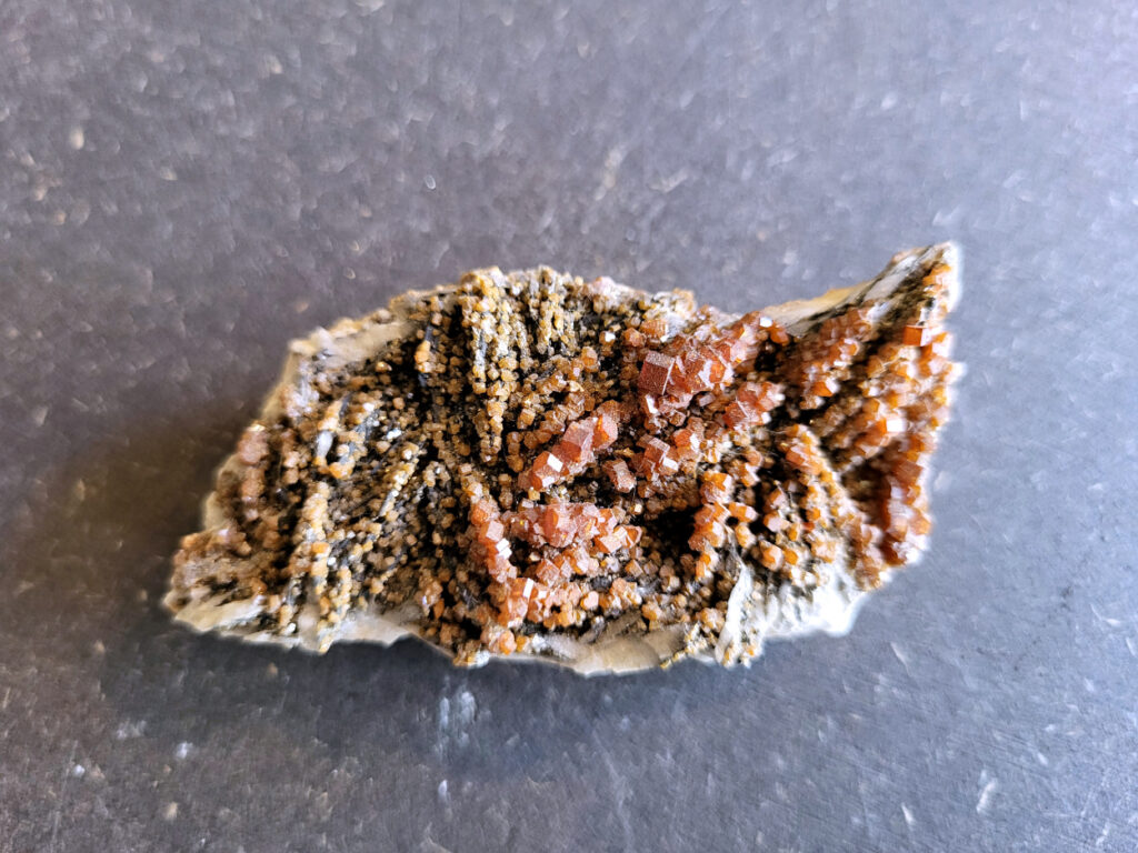<strong>Vanadiniet, 88 gram, 7cm doorsnee, 8,- euro, nr. 106.

Vanadiniet, beschrijving,

Vanadiniet is een mineraal behorend tot de groep van chlooride mineralen van lood (Pb₅(VO₄)₃Cl). Het staat bekend om zijn dieprode tot oranjerode    kristallen, vaak hexagonaal van vorm. Vanadiniet ontstaat meestal in de     oxidatiezone van loodertsen, en het wordt soms verzameld vanwege zijn spectaculaire kristalvorm en kleur. Vanadiniet kan ook geringe hoeveelheden bariet en andere achtergrondmineralen bevatten. Het heeft een hoge           densiteit en een glasachtige glans.

Associatie van Vanadiniet met Bariet
In de minerologie komt vanadiniet vaak voor op of samen met bariet, 
omdat beide mineralen zich kunnen vormen in de oxidatiezone van 
loodaders. Deze combinatie wordt soms door verzamelaars gezocht omdat de contrasterende kleuren en kristalvormen esthetisch aantrekkelijk zijn: de rode kristallen van vanadiniet op een witte of lichtgekleurde barietbasis. Van bijzondere exemplaren wordt er een hogere verzamelwaarde gegeven.
Vindplaatsen
Vanadiniet met bariet wordt gevonden in meerdere locaties wereldwijd, 
vooral in gebieden met lood- en zinkaders in woestijnachtige of rotsachtige omgevingen. Bekende vindplaatsen zijn Mexico, Marokko en sommige 
delen van de Verenigde Staten, waar vanadiniet op barietplaten in 
oxidatiezones wordt aangetroffen.

Gebruik en Verzamelwaarde
Verzamelaars: Vanadiniet-op-bariet specimens zijn populair vanwege de visuele aantrekkingskracht.
Wetenschappelijk: Beide mineralen zijn interessant voor studie van oxidatieprocessen en geochemie van zware metalen.
Industrieel: Bariet is industrieel belangrijk; vanadiniet heeft zeldzaam een kleine toepassing als vanadiumbron, maar vooral verzamelobject.
Kortom, vanadiniet op bariet is een aantrekkelijke combinatie voor mineralenverzamelaars en geeft inzicht in geologische processen in oxidatiezones van loodaders.

</strong>