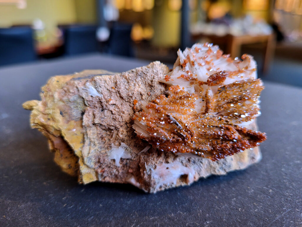<strong>Vanadiniet op Bariet, 226 gram, 9cm doorsnee, 14,- euro, nr. 120

Vanadiniet, beschrijving,

Vanadiniet is een mineraal behorend tot de groep van chlooride mineralen van lood (Pb₅(VO₄)₃Cl). Het staat bekend om zijn dieprode tot oranjerode    kristallen, vaak hexagonaal van vorm. Vanadiniet ontstaat meestal in de     oxidatiezone van loodertsen, en het wordt soms verzameld vanwege zijn spectaculaire kristalvorm en kleur. Vanadiniet kan ook geringe hoeveelheden bariet en andere achtergrondmineralen bevatten. Het heeft een hoge           densiteit en een glasachtige glans.

Associatie van Vanadiniet met Bariet
In de minerologie komt vanadiniet vaak voor op of samen met bariet, 
omdat beide mineralen zich kunnen vormen in de oxidatiezone van 
loodaders. Deze combinatie wordt soms door verzamelaars gezocht omdat de contrasterende kleuren en kristalvormen esthetisch aantrekkelijk zijn: de rode kristallen van vanadiniet op een witte of lichtgekleurde barietbasis. Van bijzondere exemplaren wordt er een hogere verzamelwaarde gegeven.
Vindplaatsen
Vanadiniet met bariet wordt gevonden in meerdere locaties wereldwijd, 
vooral in gebieden met lood- en zinkaders in woestijnachtige of rotsachtige omgevingen. Bekende vindplaatsen zijn Mexico, Marokko en sommige 
delen van de Verenigde Staten, waar vanadiniet op barietplaten in 
oxidatiezones wordt aangetroffen.

Gebruik en Verzamelwaarde
Verzamelaars: Vanadiniet-op-bariet specimens zijn populair vanwege de visuele aantrekkingskracht.
Wetenschappelijk: Beide mineralen zijn interessant voor studie van oxidatieprocessen en geochemie van zware metalen.
Industrieel: Bariet is industrieel belangrijk; vanadiniet heeft zeldzaam een kleine toepassing als vanadiumbron, maar vooral verzamelobject.
Kortom, vanadiniet op bariet is een aantrekkelijke combinatie voor mineralenverzamelaars en geeft inzicht in geologische processen in oxidatiezones van loodaders.
</strong>