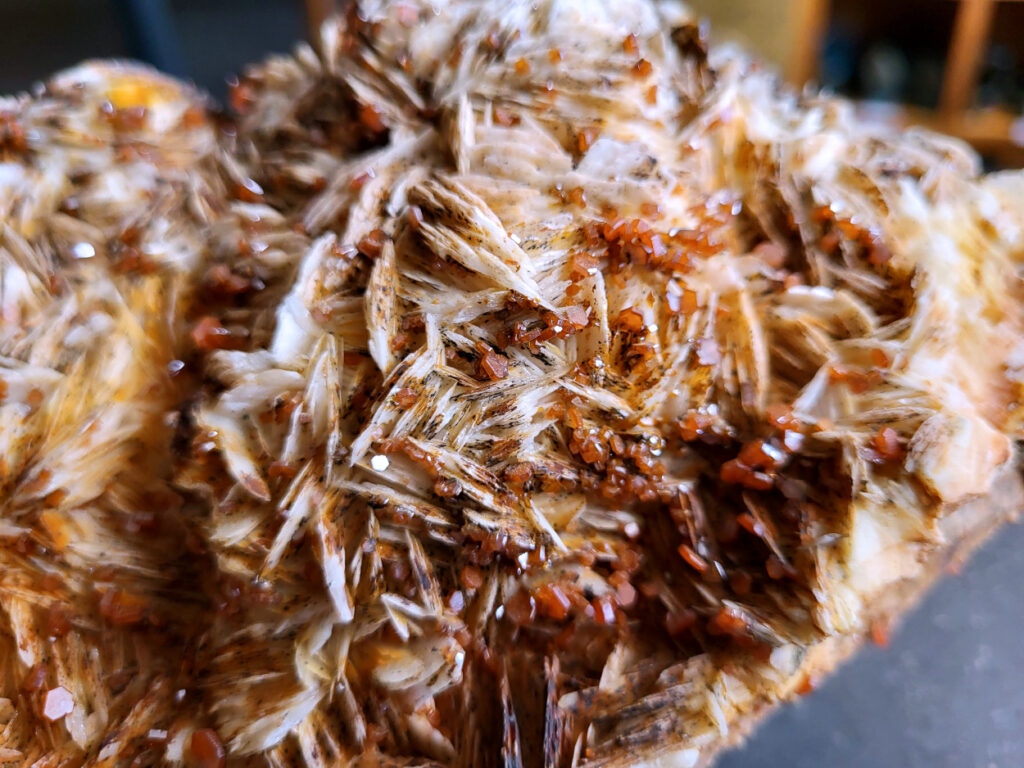 <strong>Vanadiniet op Bariet, 3,5kg, 175,- euro, detailopname, nr. 102</strong>

<strong>Vanadiniet, beschrijving,</strong>

Vanadiniet is een mineraal behorend tot de groep van chlooride mineralen van lood (Pb₅(VO₄)₃Cl). Het staat bekend om zijn dieprode tot oranjerode    kristallen, vaak hexagonaal van vorm. Vanadiniet ontstaat meestal in de     oxidatiezone van loodertsen, en het wordt soms verzameld vanwege zijn spectaculaire kristalvorm en kleur. Vanadiniet kan ook geringe hoeveelheden bariet en andere achtergrondmineralen bevatten. Het heeft een hoge           densiteit en een glasachtige glans.

<strong>Associatie van Vanadiniet met Bariet</strong>
In de minerologie komt vanadiniet vaak voor op of samen met bariet, 
omdat beide mineralen zich kunnen vormen in de oxidatiezone van 
loodaders. Deze combinatie wordt soms door verzamelaars gezocht omdat de contrasterende kleuren en kristalvormen esthetisch aantrekkelijk zijn: de rode kristallen van vanadiniet op een witte of lichtgekleurde barietbasis. Van bijzondere exemplaren wordt er een hogere verzamelwaarde gegeven.
<strong>Vindplaatsen
Vanadiniet met bariet wordt gevonden in meerdere locaties wereldwijd, </strong>
vooral in gebieden met lood- en zinkaders in woestijnachtige of rotsachtige omgevingen. Bekende vindplaatsen zijn Mexico, Marokko en sommige 
delen van de Verenigde Staten, waar vanadiniet op barietplaten in 
oxidatiezones wordt aangetroffen.

Gebruik en Verzamelwaarde
<strong>Verzamelaars: Vanadiniet-op-bariet specimens zijn populair vanwege de visuele aantrekkingskracht.</strong>
Wetenschappelijk: Beide mineralen zijn interessant voor studie van oxidatieprocessen en geochemie van zware metalen.
Industrieel: Bariet is industrieel belangrijk; vanadiniet heeft zeldzaam een kleine toepassing als vanadiumbron, maar vooral verzamelobject.
Kortom, vanadiniet op bariet is een aantrekkelijke combinatie voor mineralenverzamelaars en geeft inzicht in geologische processen in oxidatiezones van loodaders.