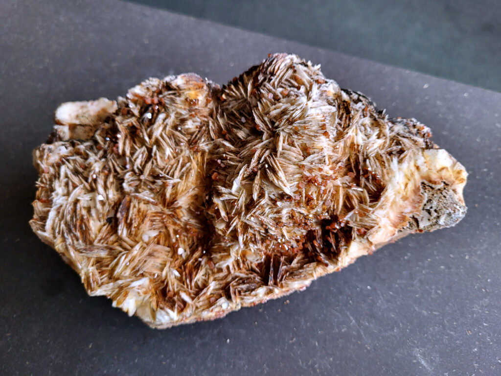 <strong>Vanadiniet op Bariet, 3,5kg, 175,- euro, nr. 103</strong>

<strong>Vanadiniet, beschrijving,</strong>

Vanadiniet is een mineraal behorend tot de groep van chlooride mineralen van lood (Pb₅(VO₄)₃Cl). Het staat bekend om zijn dieprode tot oranjerode    kristallen, vaak hexagonaal van vorm. Vanadiniet ontstaat meestal in de     oxidatiezone van loodertsen, en het wordt soms verzameld vanwege zijn spectaculaire kristalvorm en kleur. Vanadiniet kan ook geringe hoeveelheden bariet en andere achtergrondmineralen bevatten. Het heeft een hoge           densiteit en een glasachtige glans.

<strong>Associatie van Vanadiniet met Bariet</strong>
In de minerologie komt vanadiniet vaak voor op of samen met bariet, 
omdat beide mineralen zich kunnen vormen in de oxidatiezone van 
loodaders. Deze combinatie wordt soms door verzamelaars gezocht omdat de contrasterende kleuren en kristalvormen esthetisch aantrekkelijk zijn: de rode kristallen van vanadiniet op een witte of lichtgekleurde barietbasis. Van bijzondere exemplaren wordt er een hogere verzamelwaarde gegeven.
Vindplaatsen
Vanadiniet met bariet wordt gevonden in meerdere locaties wereldwijd, 
vooral in gebieden met lood- en zinkaders in woestijnachtige of rotsachtige omgevingen. Bekende vindplaatsen zijn Mexico, Marokko en sommige 
delen van de Verenigde Staten, waar vanadiniet op barietplaten in 
oxidatiezones wordt aangetroffen.

Gebruik en Verzamelwaarde
<strong>Verzamelaars: Vanadiniet-op-bariet specimens zijn populair vanwege de visuele aantrekkingskracht.</strong>
Wetenschappelijk: Beide mineralen zijn interessant voor studie van oxidatieprocessen en geochemie van zware metalen.
<strong>Industrieel: Bariet is industrieel belangrijk; vanadiniet heeft zeldzaam een kleine toepassing als vanadiumbron, maar vooral verzamelobject.</strong>
Kortom, vanadiniet op bariet is een aantrekkelijke combinatie voor mineralenverzamelaars en geeft inzicht in geologische processen in oxidatiezones van loodaders.