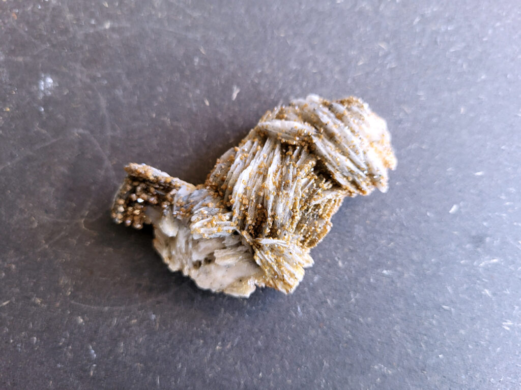 <strong>Vanadiniet op Bariet, 60 gram, 6cm doorsnee, 8,- euro, nr. 124

Vanadiniet, beschrijving,

Vanadiniet is een mineraal behorend tot de groep van chlooride mineralen van lood (Pb₅(VO₄)₃Cl). Het staat bekend om zijn dieprode tot oranjerode    kristallen, vaak hexagonaal van vorm. Vanadiniet ontstaat meestal in de     oxidatiezone van loodertsen, en het wordt soms verzameld vanwege zijn spectaculaire kristalvorm en kleur. Vanadiniet kan ook geringe hoeveelheden bariet en andere achtergrondmineralen bevatten. Het heeft een hoge           densiteit en een glasachtige glans.

Associatie van Vanadiniet met Bariet
In de minerologie komt vanadiniet vaak voor op of samen met bariet, 
omdat beide mineralen zich kunnen vormen in de oxidatiezone van 
loodaders. Deze combinatie wordt soms door verzamelaars gezocht omdat de contrasterende kleuren en kristalvormen esthetisch aantrekkelijk zijn: de rode kristallen van vanadiniet op een witte of lichtgekleurde barietbasis. Van bijzondere exemplaren wordt er een hogere verzamelwaarde gegeven.
Vindplaatsen
Vanadiniet met bariet wordt gevonden in meerdere locaties wereldwijd, 
vooral in gebieden met lood- en zinkaders in woestijnachtige of rotsachtige omgevingen. Bekende vindplaatsen zijn Mexico, Marokko en sommige 
delen van de Verenigde Staten, waar vanadiniet op barietplaten in 
oxidatiezones wordt aangetroffen.

Gebruik en Verzamelwaarde
Verzamelaars: Vanadiniet-op-bariet specimens zijn populair vanwege de visuele aantrekkingskracht.
Wetenschappelijk: Beide mineralen zijn interessant voor studie van oxidatieprocessen en geochemie van zware metalen.
Industrieel: Bariet is industrieel belangrijk; vanadiniet heeft zeldzaam een kleine toepassing als vanadiumbron, maar vooral verzamelobject.
Kortom, vanadiniet op bariet is een aantrekkelijke combinatie voor mineralenverzamelaars en geeft inzicht in geologische processen in oxidatiezones van loodaders.
</strong>