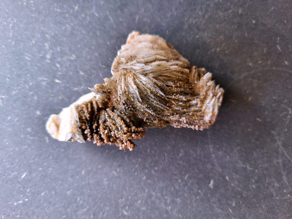 <strong>Vanadiniet op Bariet, 86 gram, 8cm doorsnee, 8,- euro, nr. 123

Vanadiniet, beschrijving,

Vanadiniet is een mineraal behorend tot de groep van chlooride mineralen van lood (Pb₅(VO₄)₃Cl). Het staat bekend om zijn dieprode tot oranjerode    kristallen, vaak hexagonaal van vorm. Vanadiniet ontstaat meestal in de     oxidatiezone van loodertsen, en het wordt soms verzameld vanwege zijn spectaculaire kristalvorm en kleur. Vanadiniet kan ook geringe hoeveelheden bariet en andere achtergrondmineralen bevatten. Het heeft een hoge           densiteit en een glasachtige glans.

Associatie van Vanadiniet met Bariet
In de minerologie komt vanadiniet vaak voor op of samen met bariet, 
omdat beide mineralen zich kunnen vormen in de oxidatiezone van 
loodaders. Deze combinatie wordt soms door verzamelaars gezocht omdat de contrasterende kleuren en kristalvormen esthetisch aantrekkelijk zijn: de rode kristallen van vanadiniet op een witte of lichtgekleurde barietbasis. Van bijzondere exemplaren wordt er een hogere verzamelwaarde gegeven.
Vindplaatsen
Vanadiniet met bariet wordt gevonden in meerdere locaties wereldwijd, 
vooral in gebieden met lood- en zinkaders in woestijnachtige of rotsachtige omgevingen. Bekende vindplaatsen zijn Mexico, Marokko en sommige 
delen van de Verenigde Staten, waar vanadiniet op barietplaten in 
oxidatiezones wordt aangetroffen.

Gebruik en Verzamelwaarde
Verzamelaars: Vanadiniet-op-bariet specimens zijn populair vanwege de visuele aantrekkingskracht.
Wetenschappelijk: Beide mineralen zijn interessant voor studie van oxidatieprocessen en geochemie van zware metalen.
Industrieel: Bariet is industrieel belangrijk; vanadiniet heeft zeldzaam een kleine toepassing als vanadiumbron, maar vooral verzamelobject.
Kortom, vanadiniet op bariet is een aantrekkelijke combinatie voor mineralenverzamelaars en geeft inzicht in geologische processen in oxidatiezones van loodaders.
</strong>