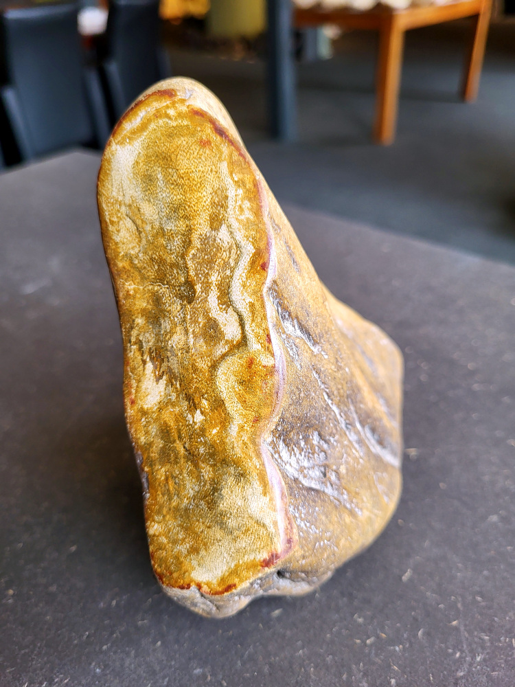 <strong>Versteend hout, 1 kg, 8,- euro, nr. 21

Versteend hout, beschrijving
Versteend hout
Chakra: wortelchakra (Muladhara)
Versteend hout is miljoenen jaren oud!
Waar komt versteend hout vandaan en hoe ontstaan het?
Versteend hout, of gefossiliseerd hout, ontstaat wanneer een boom na zijn overlijden bedekt wordt door sediment, waardoor het langzaam omgezet wordt in steen. In plaats van te vergaan, wordt het hout geleidelijk vervangen door mineralen zoals silica. Dit proces behoudt de originele structuur van het hout, inclusief details zoals jaarringen en nerven. Het kan miljoenen jaren duren, aangezien het water dat rijk is aan mineralen de houtcellen binnendringt, terwijl zuurstof geen rol meer speelt in de afbraak.
De kleur van versteend hout is precies zoals het hout er oorspronkelijk uit zag.
Waar kan versteend hout niet goed tegen?
Het is bestand tegen de meeste elementen, maar kan niet goed tegen langdurige blootstelling aan fel zonlicht, extreme temperatuurwisselingen en scherpe voorwerpen die krassen kunnen veroorzaken.
Spirituele werking van versteend hout:
stabiliteit, rust en veiligheid
Fysiek zou het positieve effecten hebben op het skelet, de botten en de rug, en kan het ondersteuning bieden bij aandoeningen zoals osteoporose en ADHD.
Hoe opladen?
Je kunt versteend hout, als het volle maan is, ‘s nachts in het maanlicht leggen, bij een bergkristal of andere stenen leggen of reinigen met saliehout/palo santo.</strong>