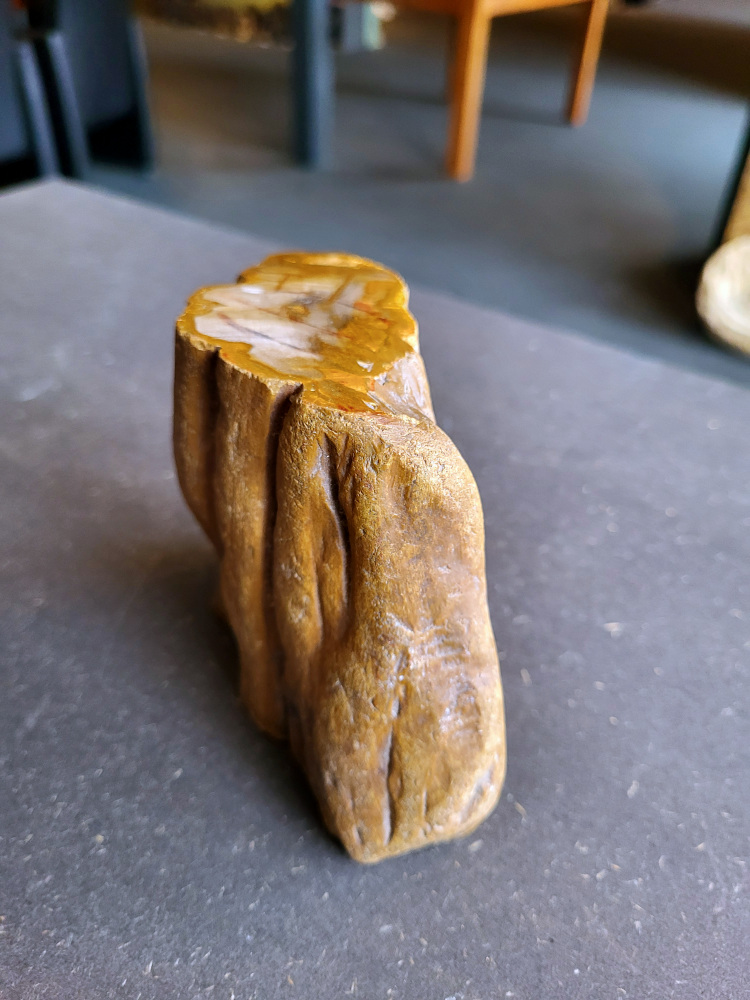 <strong>Versteend hout, 1,1kg, 9,- euro, nr. 20

Versteend hout, beschrijving
Versteend hout
Chakra: wortelchakra (Muladhara)
Versteend hout is miljoenen jaren oud!
Waar komt versteend hout vandaan en hoe ontstaan het?
Versteend hout, of gefossiliseerd hout, ontstaat wanneer een boom na zijn overlijden bedekt wordt door sediment, waardoor het langzaam omgezet wordt in steen. In plaats van te vergaan, wordt het hout geleidelijk vervangen door mineralen zoals silica. Dit proces behoudt de originele structuur van het hout, inclusief details zoals jaarringen en nerven. Het kan miljoenen jaren duren, aangezien het water dat rijk is aan mineralen de houtcellen binnendringt, terwijl zuurstof geen rol meer speelt in de afbraak.
De kleur van versteend hout is precies zoals het hout er oorspronkelijk uit zag.
Waar kan versteend hout niet goed tegen?
Het is bestand tegen de meeste elementen, maar kan niet goed tegen langdurige blootstelling aan fel zonlicht, extreme temperatuurwisselingen en scherpe voorwerpen die krassen kunnen veroorzaken.
Spirituele werking van versteend hout:
stabiliteit, rust en veiligheid
Fysiek zou het positieve effecten hebben op het skelet, de botten en de rug, en kan het ondersteuning bieden bij aandoeningen zoals osteoporose en ADHD.
Hoe opladen?
Je kunt versteend hout, als het volle maan is, ‘s nachts in het maanlicht leggen, bij een bergkristal of andere stenen leggen of reinigen met saliehout/palo santo.</strong>