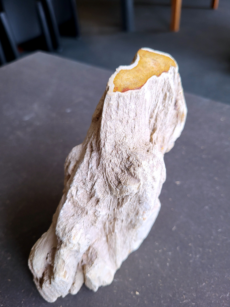 <strong>Versteend hout, 1kg, 9,- euro, nr. 17

Versteend hout, beschrijving
Versteend hout
Chakra: wortelchakra (Muladhara)
Versteend hout is miljoenen jaren oud!
Waar komt versteend hout vandaan en hoe ontstaan het?
Versteend hout, of gefossiliseerd hout, ontstaat wanneer een boom na zijn overlijden bedekt wordt door sediment, waardoor het langzaam omgezet wordt in steen. In plaats van te vergaan, wordt het hout geleidelijk vervangen door mineralen zoals silica. Dit proces behoudt de originele structuur van het hout, inclusief details zoals jaarringen en nerven. Het kan miljoenen jaren duren, aangezien het water dat rijk is aan mineralen de houtcellen binnendringt, terwijl zuurstof geen rol meer speelt in de afbraak.
De kleur van versteend hout is precies zoals het hout er oorspronkelijk uit zag.
Waar kan versteend hout niet goed tegen?
Het is bestand tegen de meeste elementen, maar kan niet goed tegen langdurige blootstelling aan fel zonlicht, extreme temperatuurwisselingen en scherpe voorwerpen die krassen kunnen veroorzaken.
Spirituele werking van versteend hout:
stabiliteit, rust en veiligheid
Fysiek zou het positieve effecten hebben op het skelet, de botten en de rug, en kan het ondersteuning bieden bij aandoeningen zoals osteoporose en ADHD.
Hoe opladen?
Je kunt versteend hout, als het volle maan is, ‘s nachts in het maanlicht leggen, bij een bergkristal of andere stenen leggen of reinigen met saliehout/palo santo.</strong>